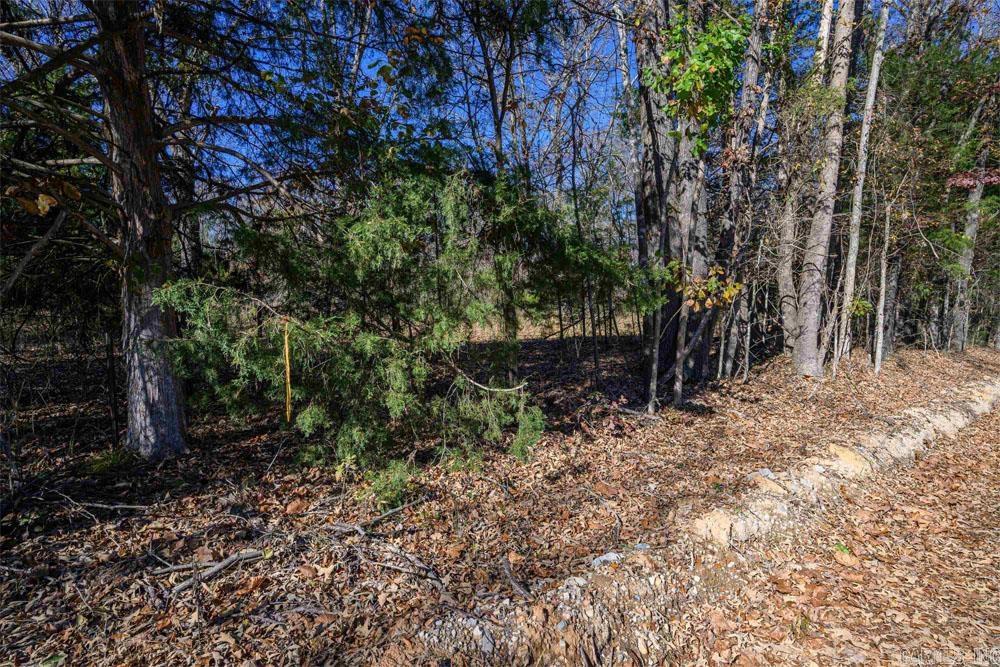 Lots 31-33 Mc7001 Road Property Photo 9
