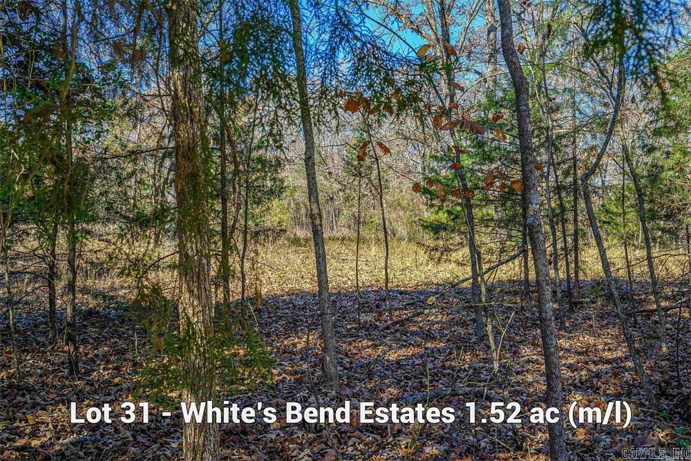 Lots 31-33 Mc7001 Road Property Photo 10