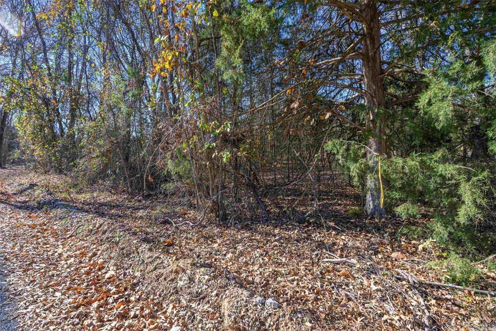 Lots 31-33 Mc7001 Road Property Photo 11