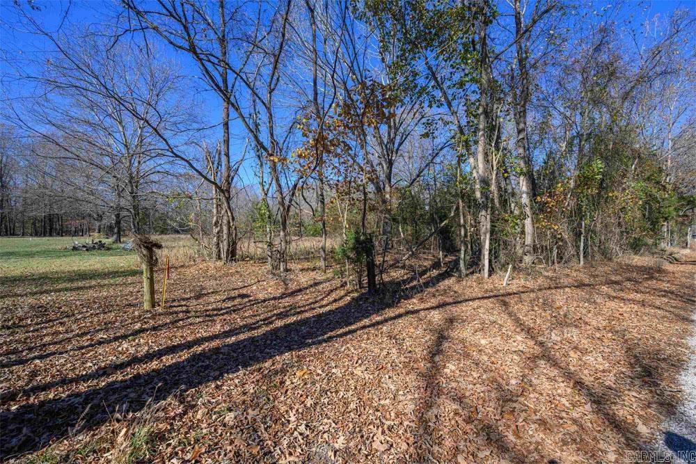 Lots 31-33 Mc7001 Road Property Photo 12