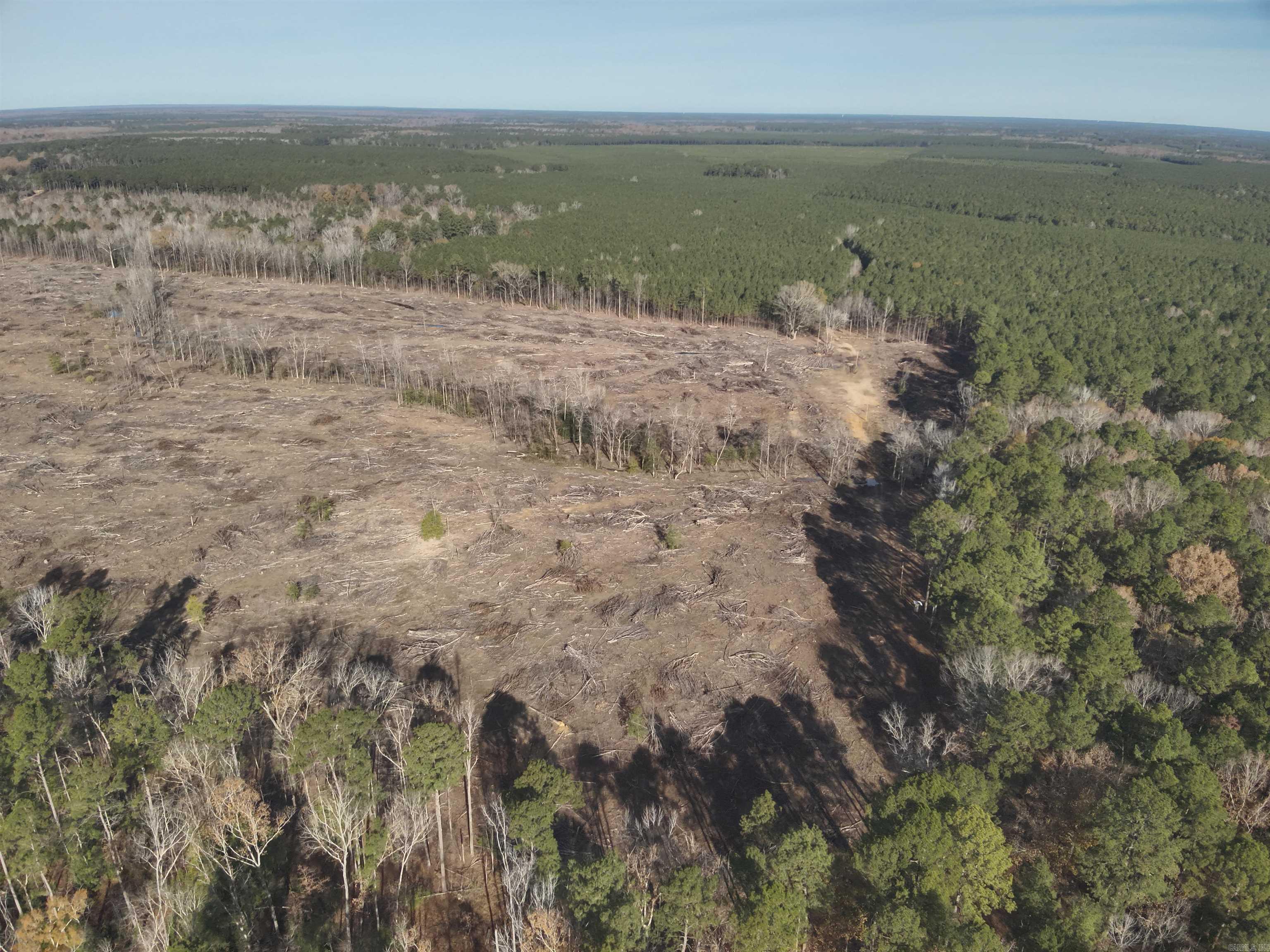 29-14-15 Calhoun #3 Property Photo 2