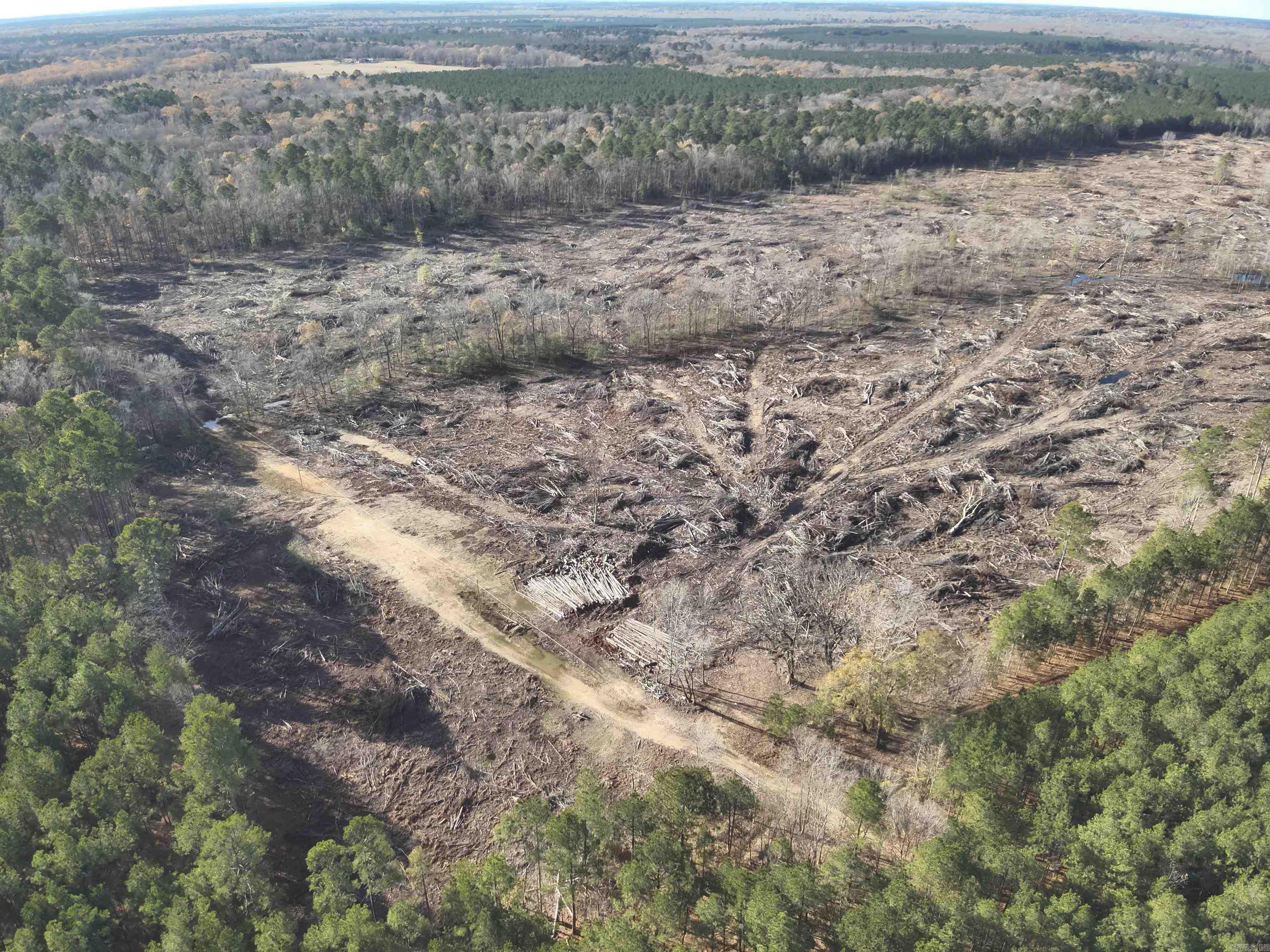 29-14-15 Calhoun #3 Property Photo 3
