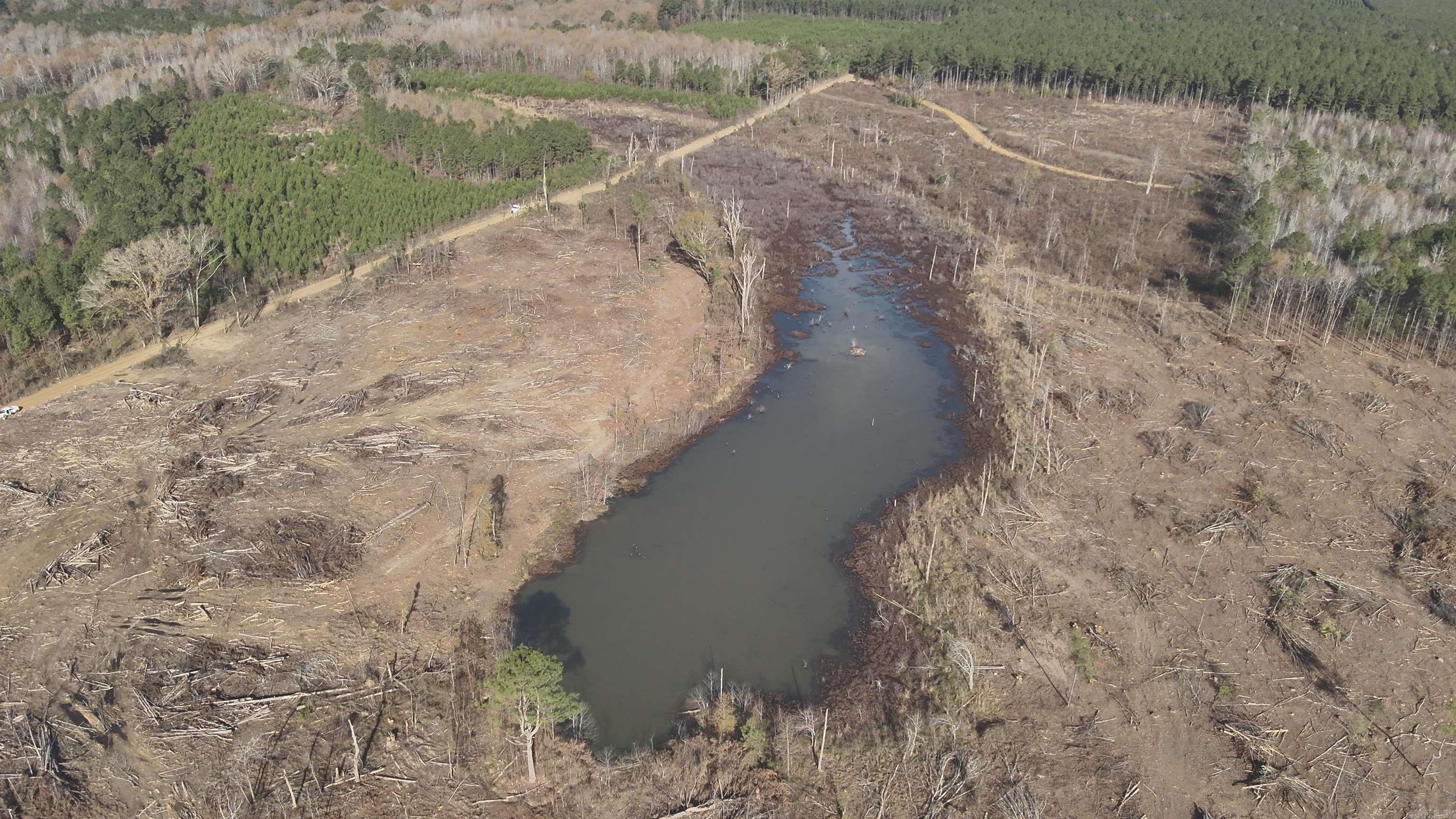 29-14-15 Calhoun #3 Property Photo 4