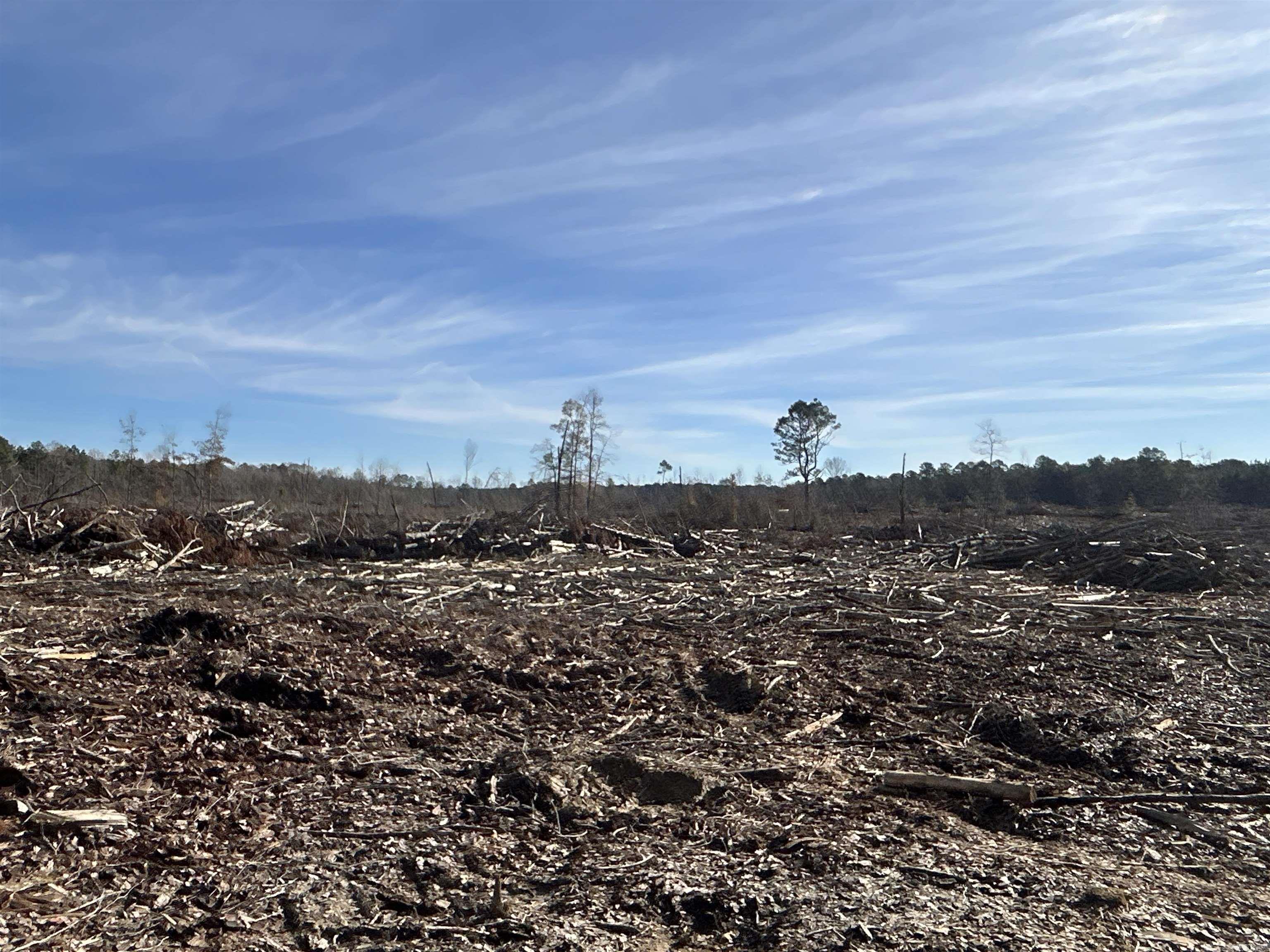 29-14-15 Calhoun #3 Property Photo 5