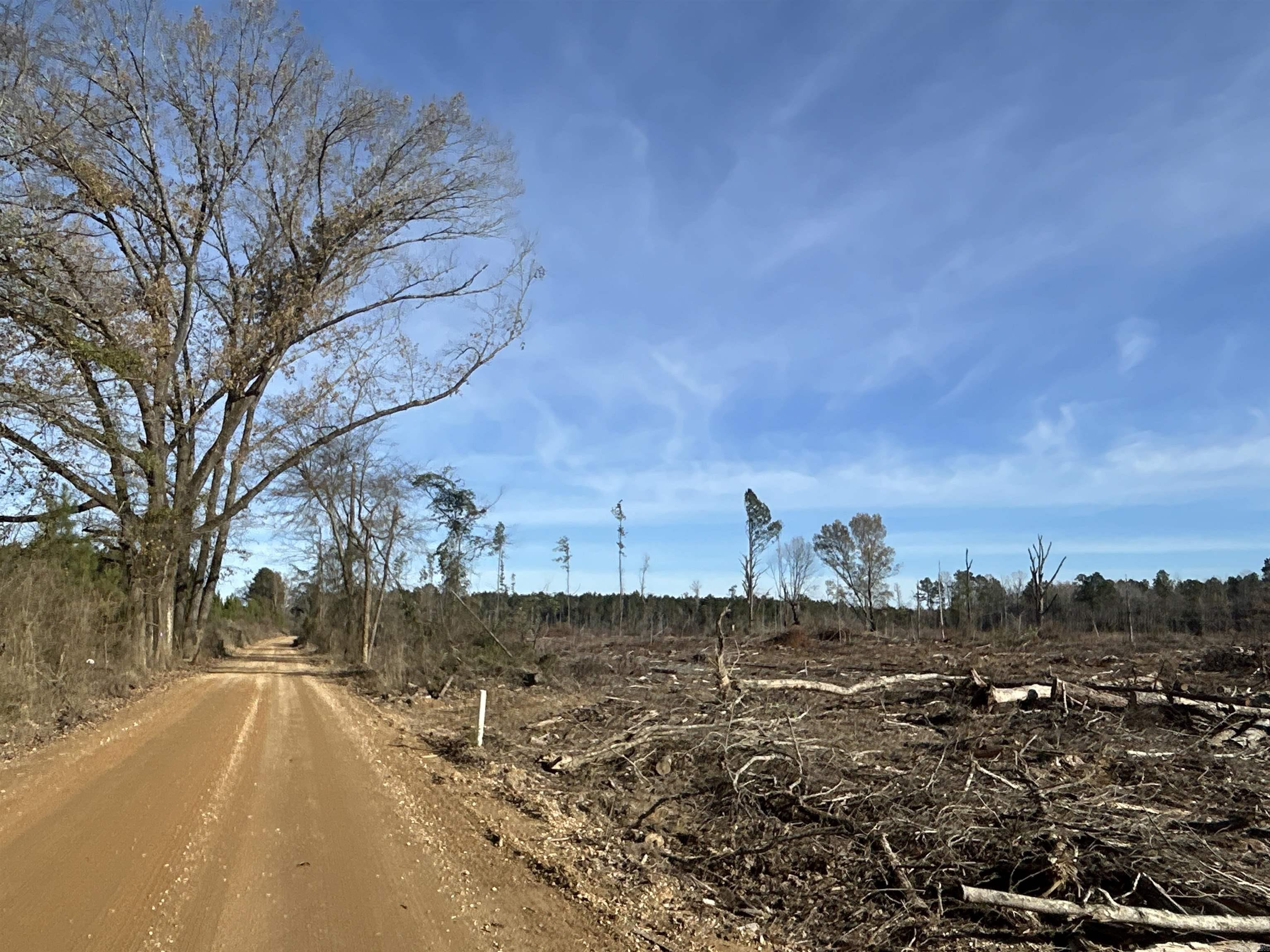 29-14-15 Calhoun #3 Property Photo 6