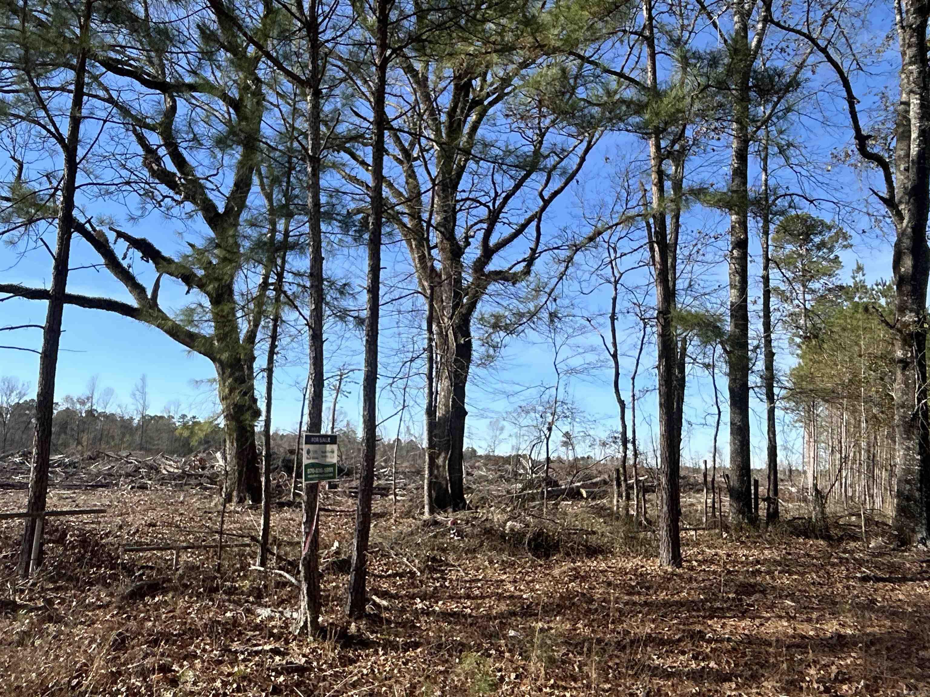 29-14-15 Calhoun #3 Property Photo 7