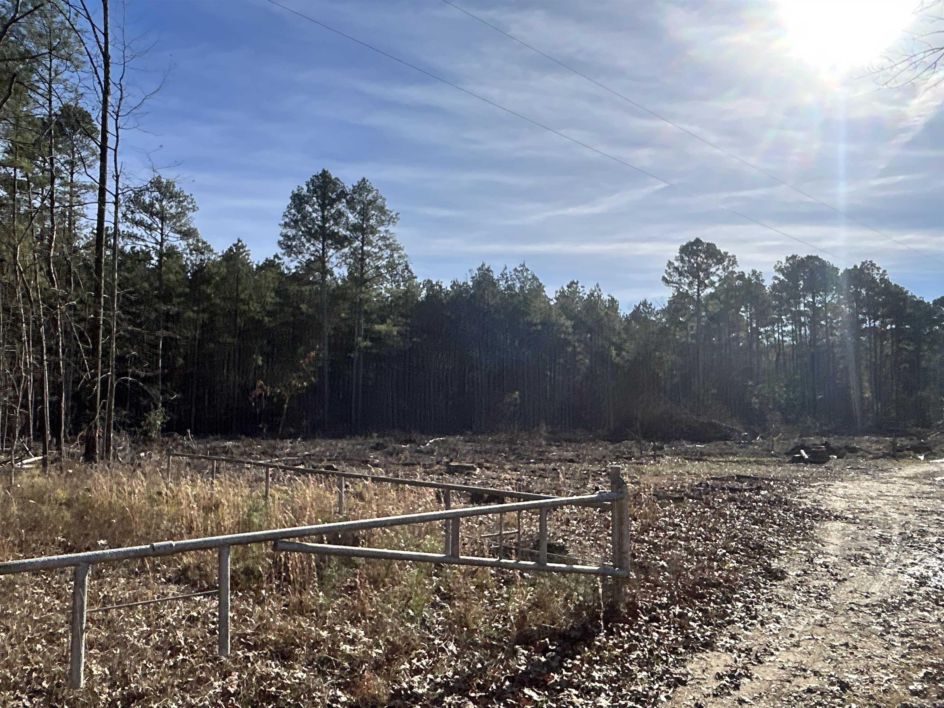 29-14-15 Calhoun #3 Property Photo 8