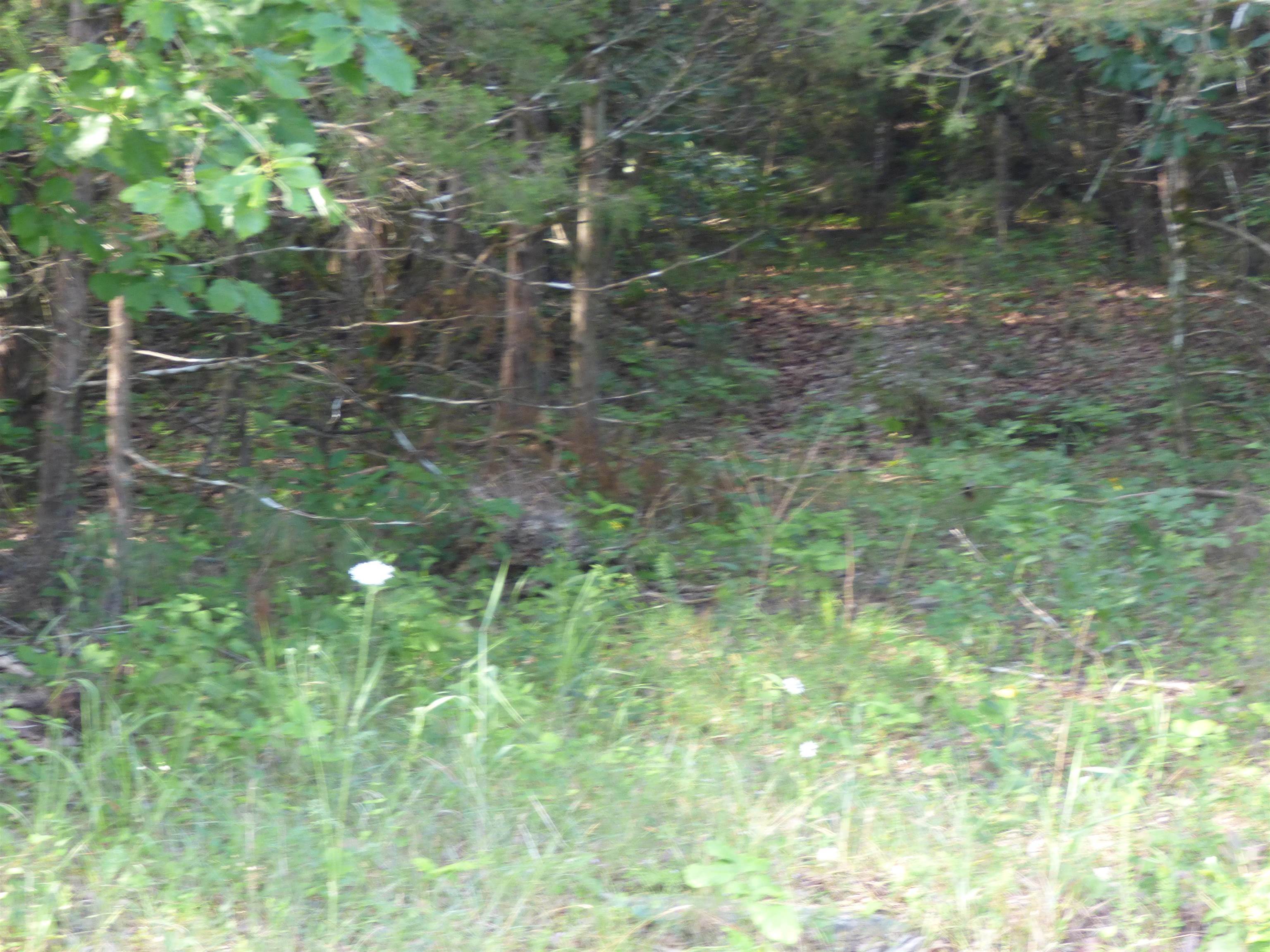 Tbd Cherokee Road Property Photo 5