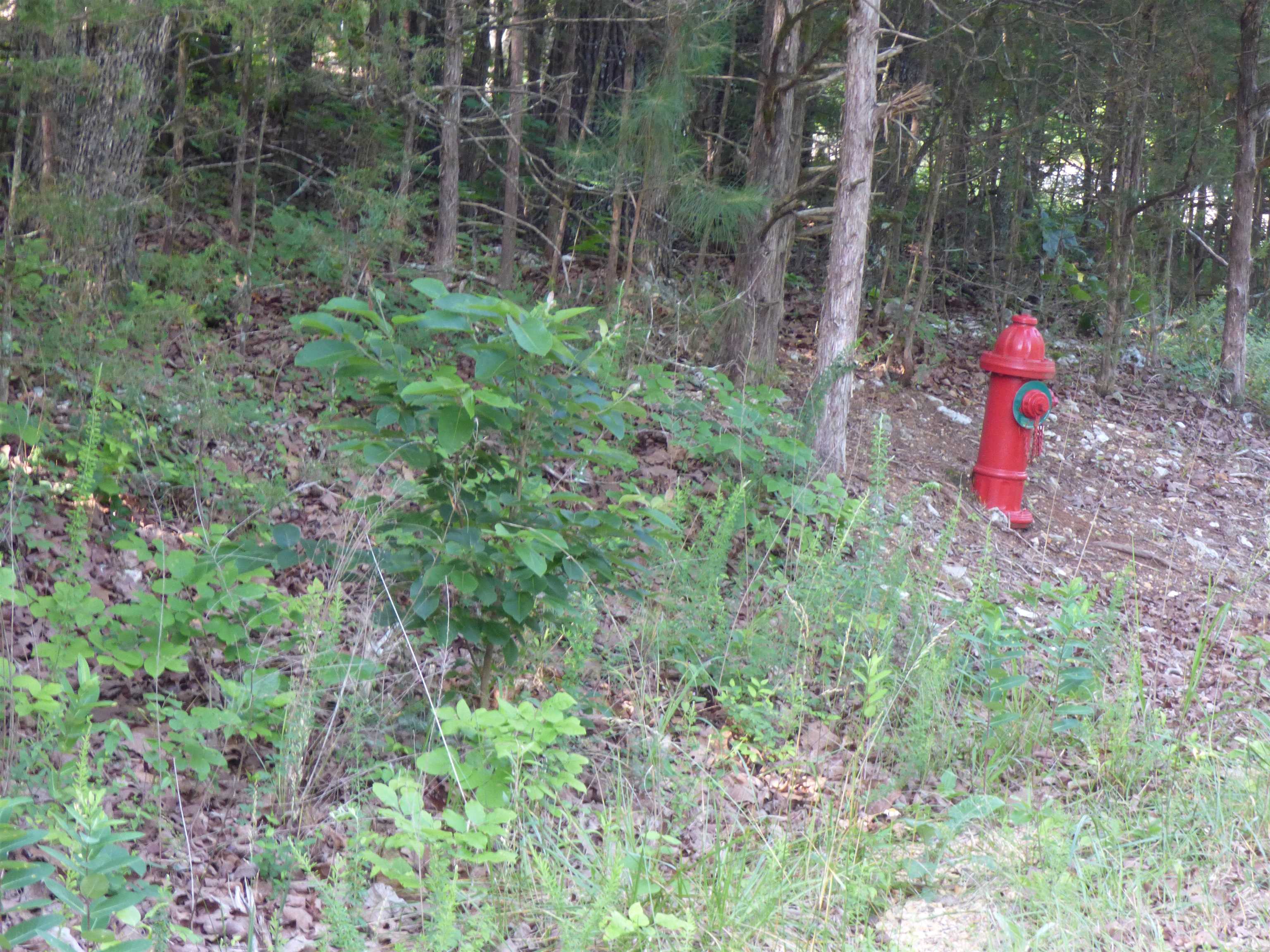 Tbd Cherokee Road Property Photo 6