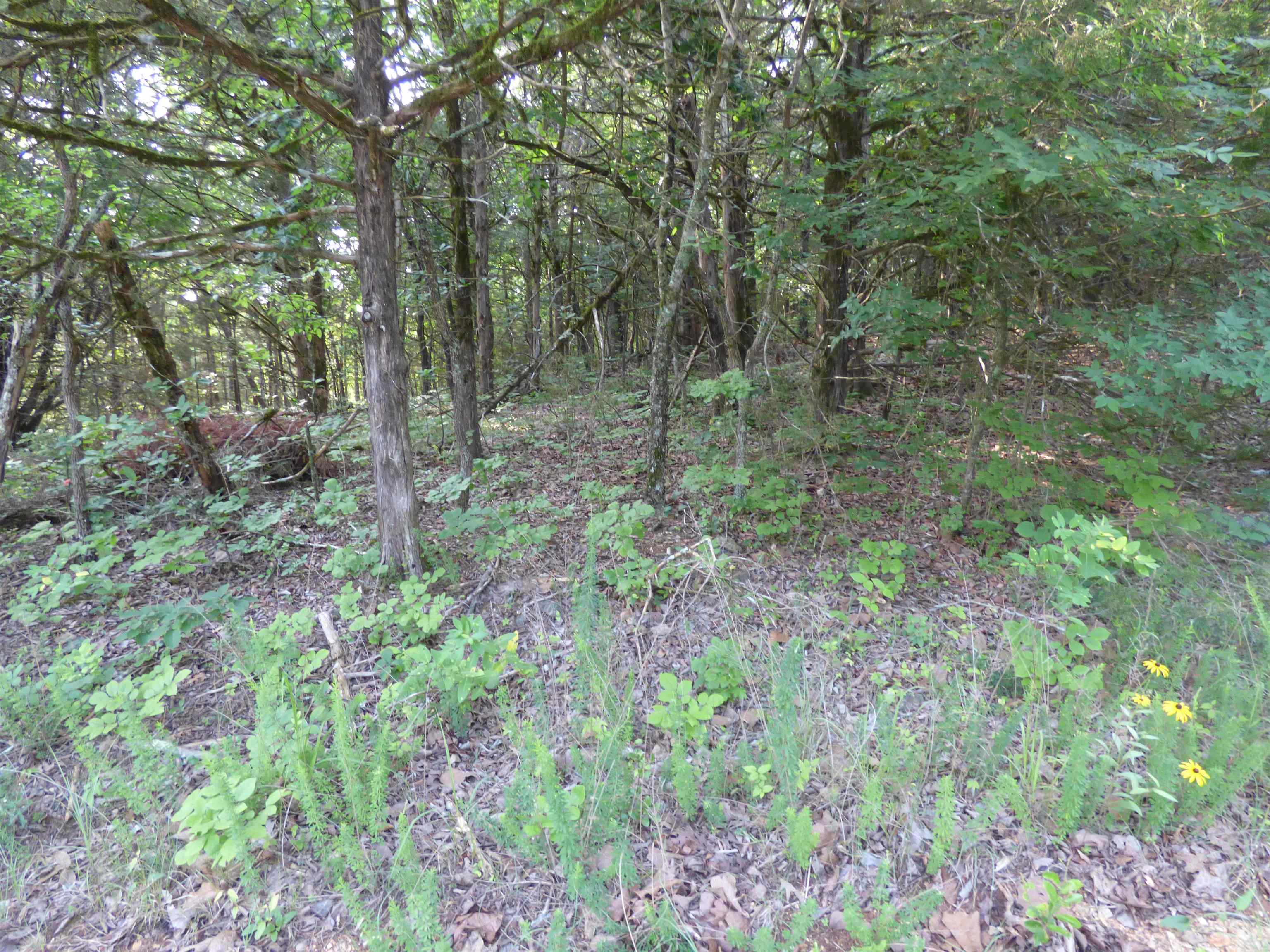 Tbd Cherokee Road Property Photo 7