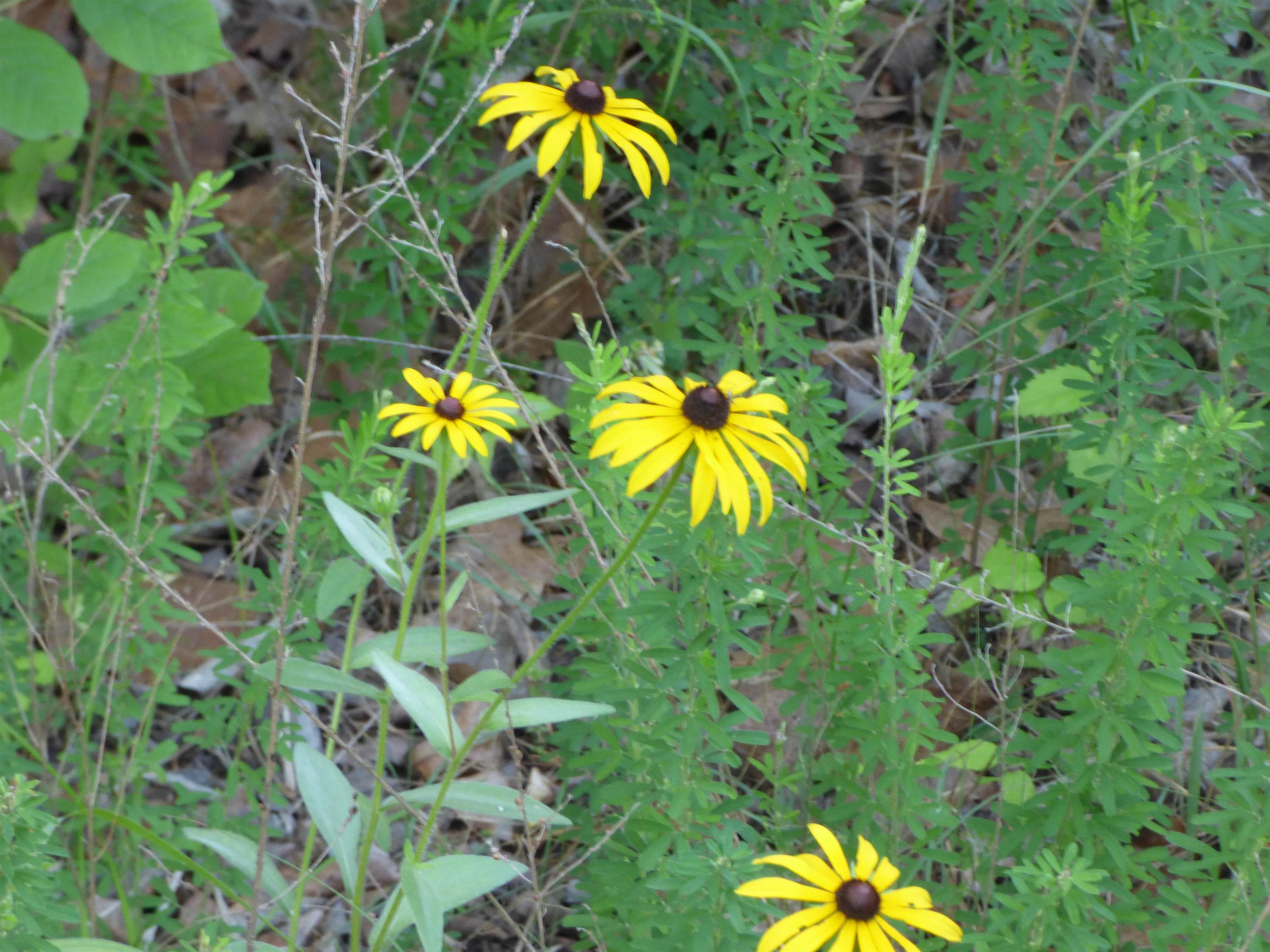 Tbd Cherokee Road Property Photo 8