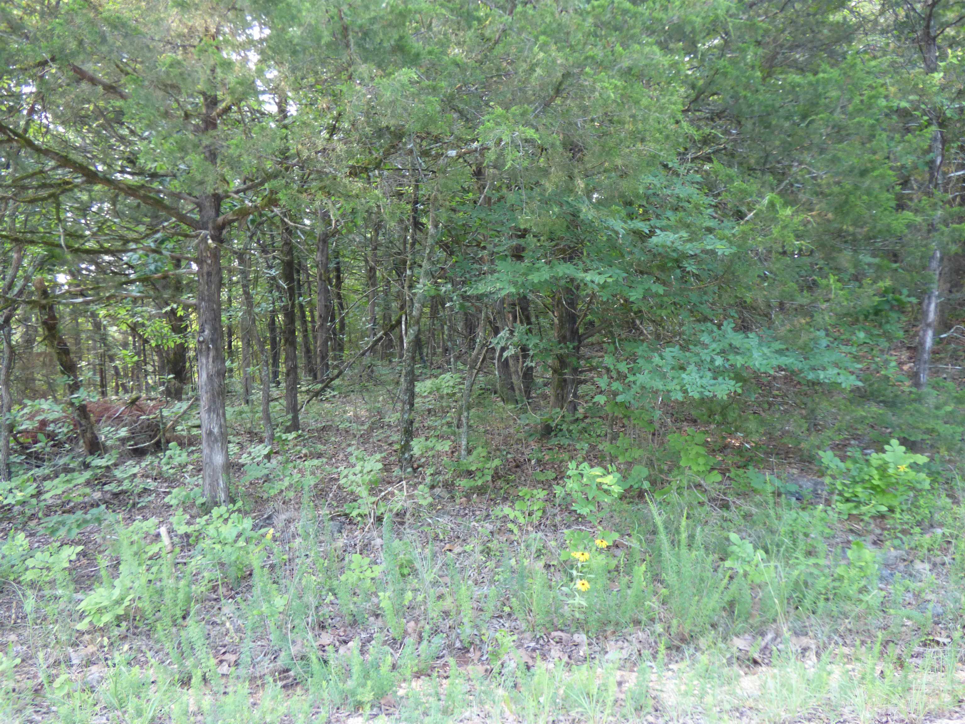 Tbd Cherokee Road Property Photo 12
