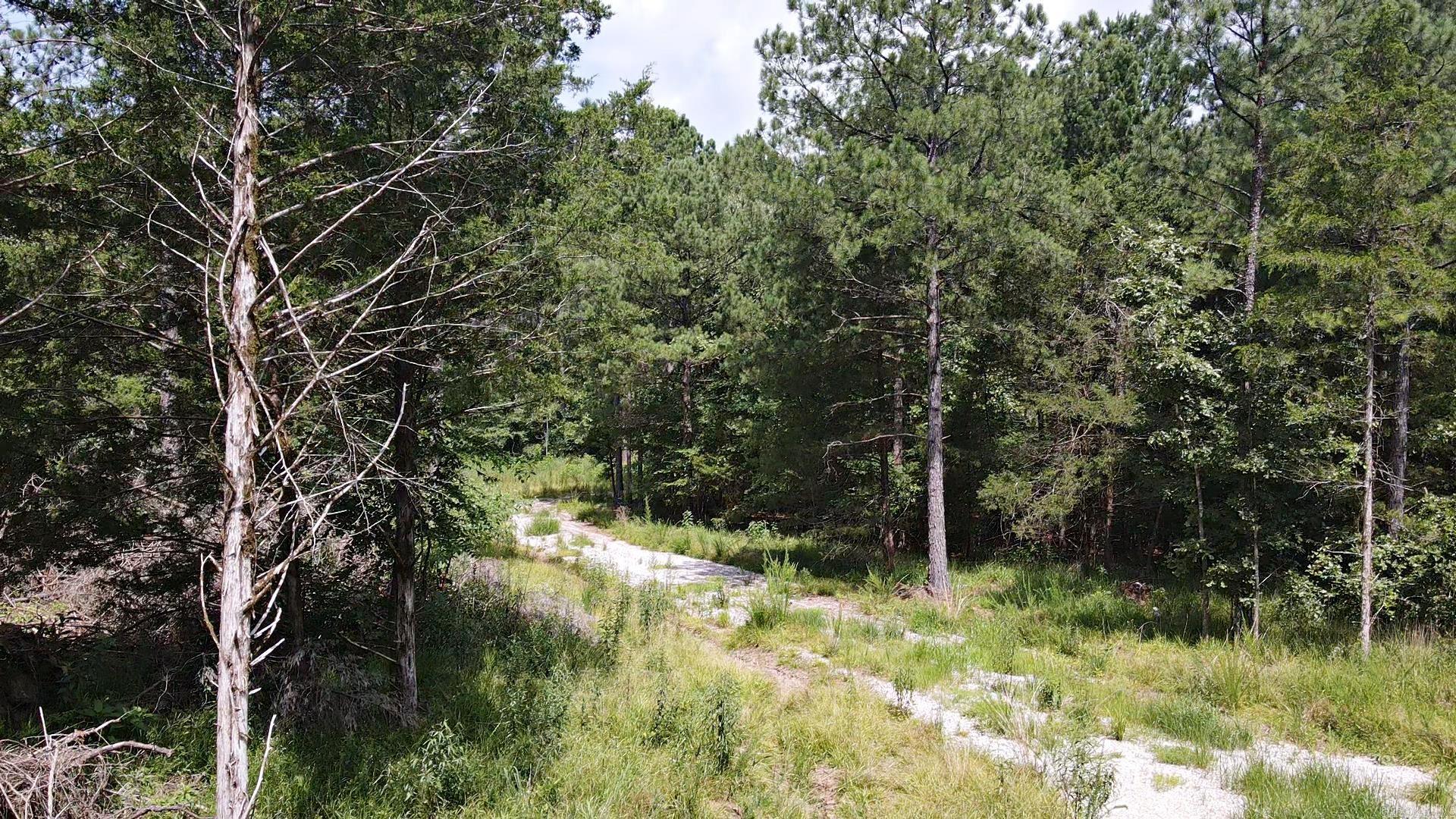 1028 Red Wings Road Property Photo 11