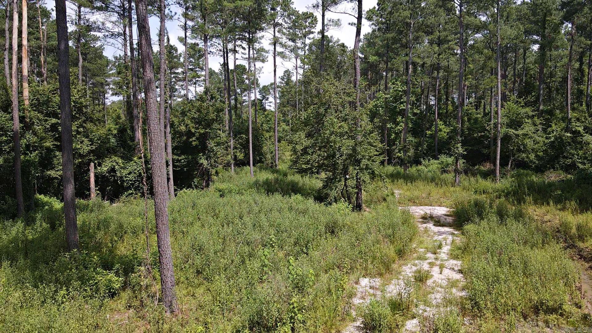 1028 Red Wings Road Property Photo 12