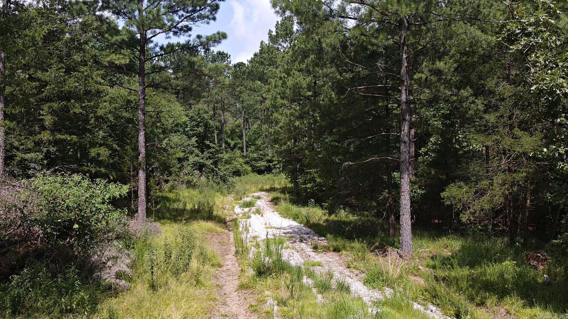 1028 Red Wings Road Property Photo 14