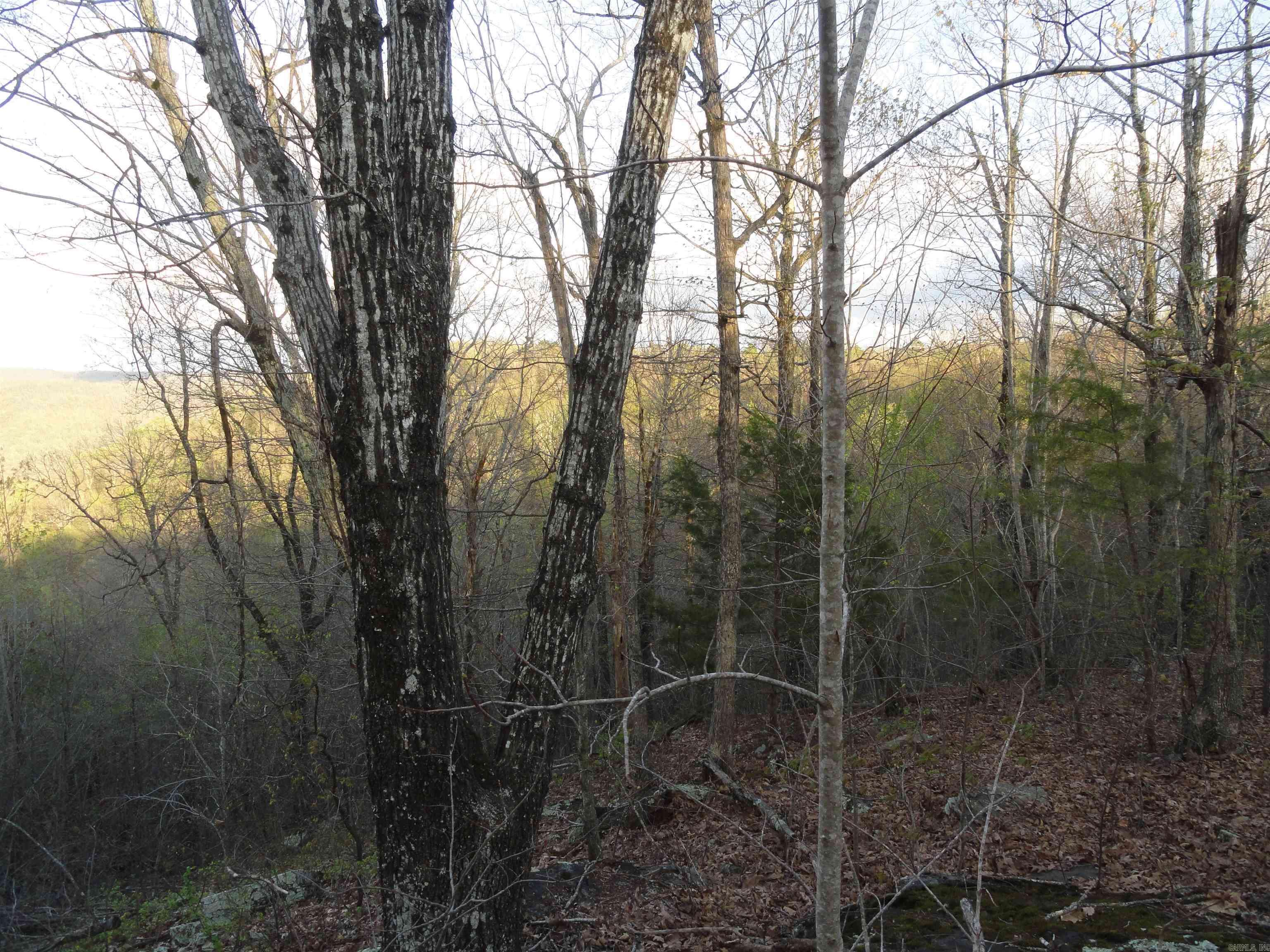 658 Hood Lane Property Photo 14