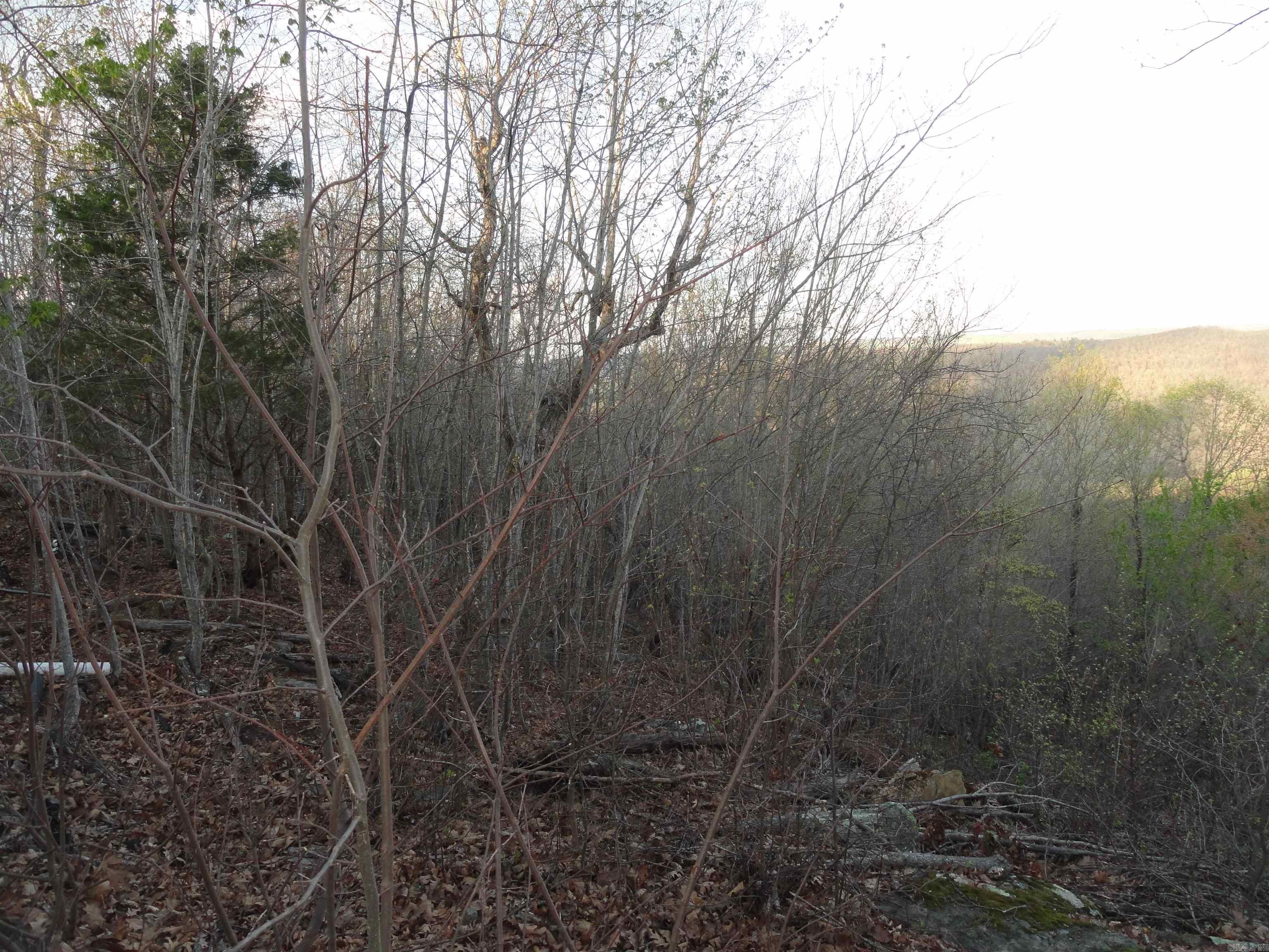 658 Hood Lane Property Photo 15