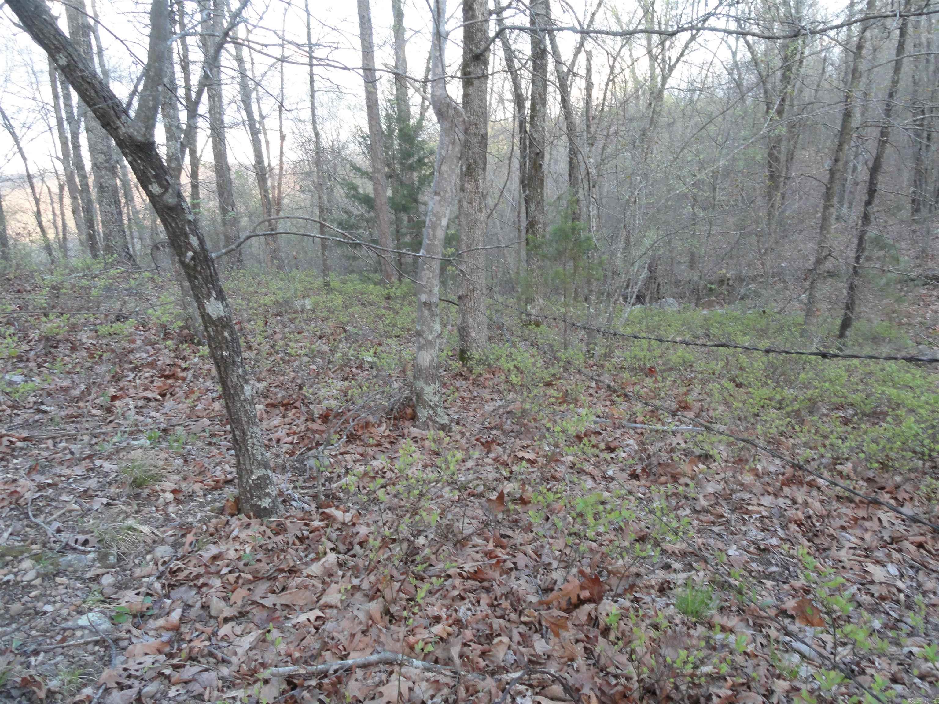 658 Hood Lane Property Photo 19