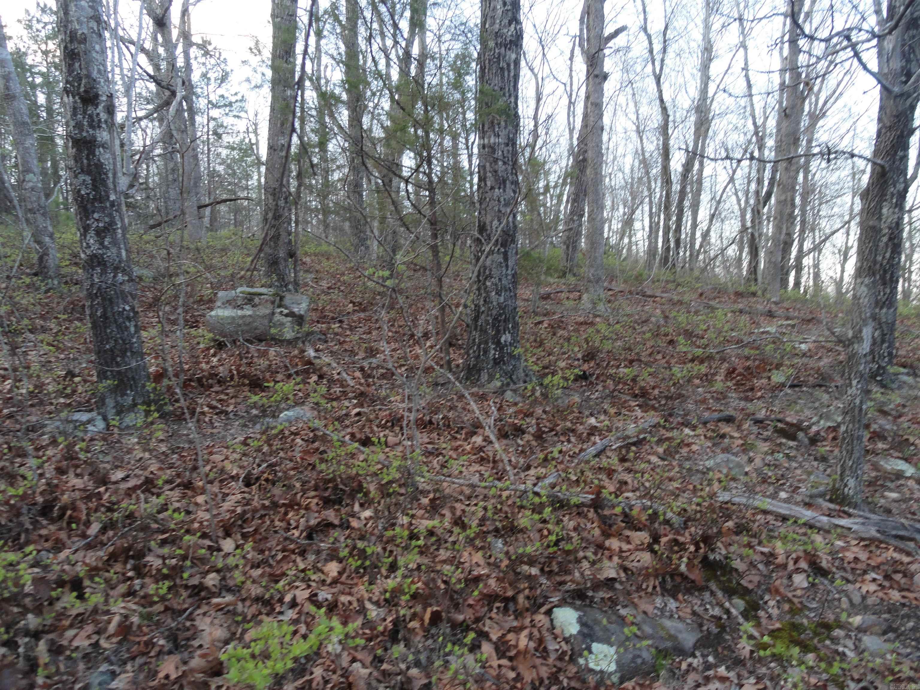 658 Hood Lane Property Photo 20