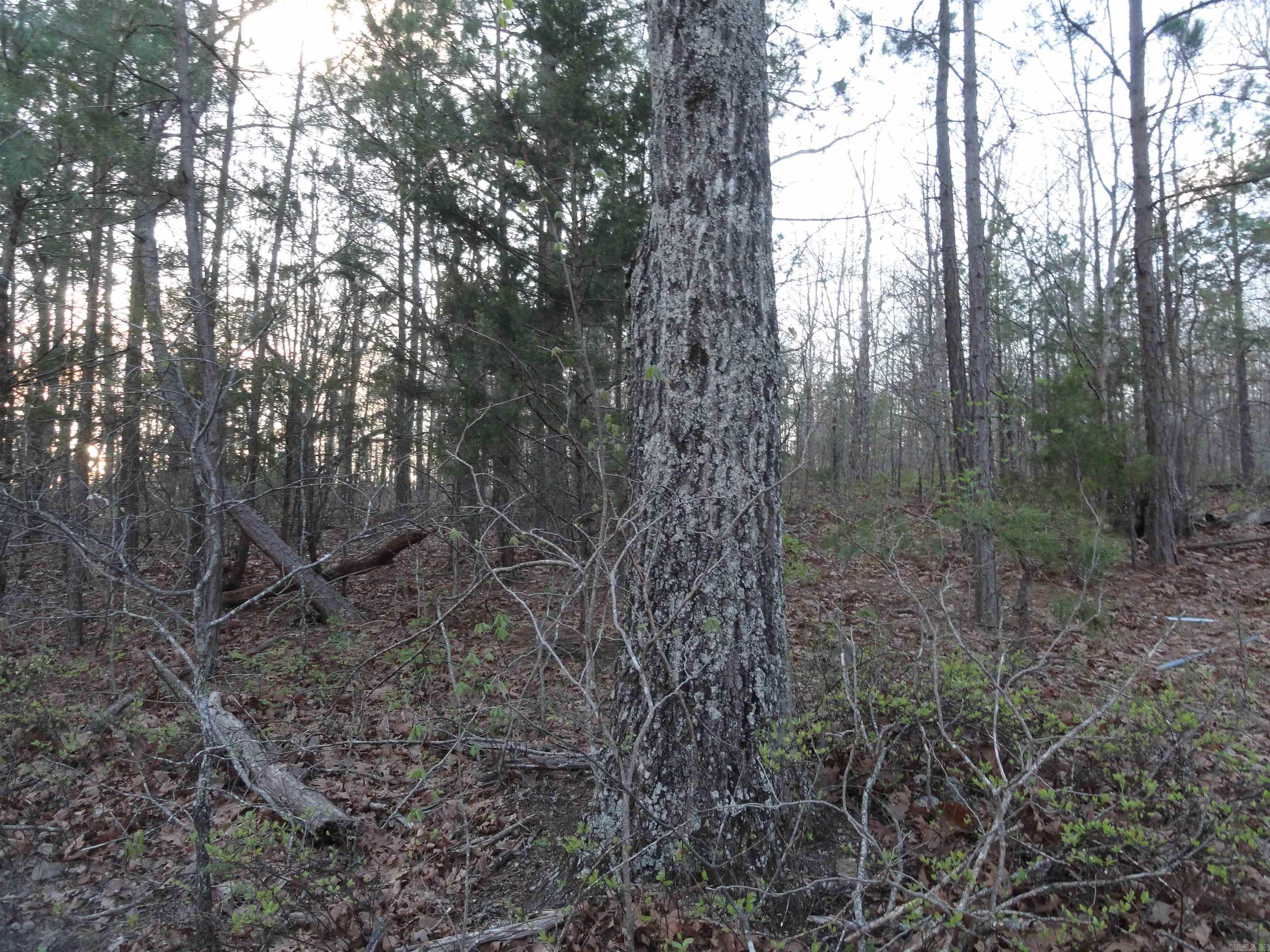 658 Hood Lane Property Photo 23