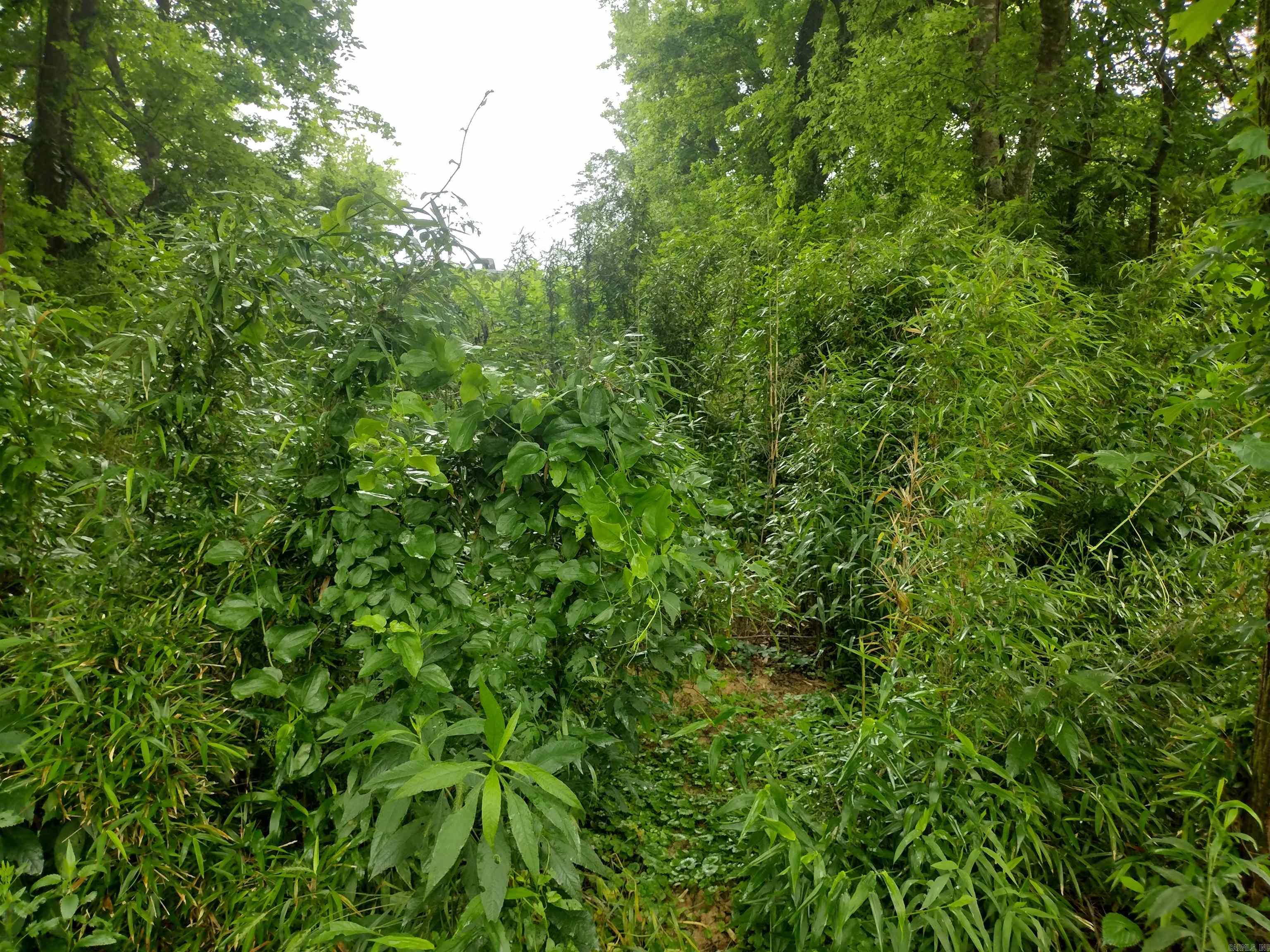 890 S River View Ln Property Photo 19