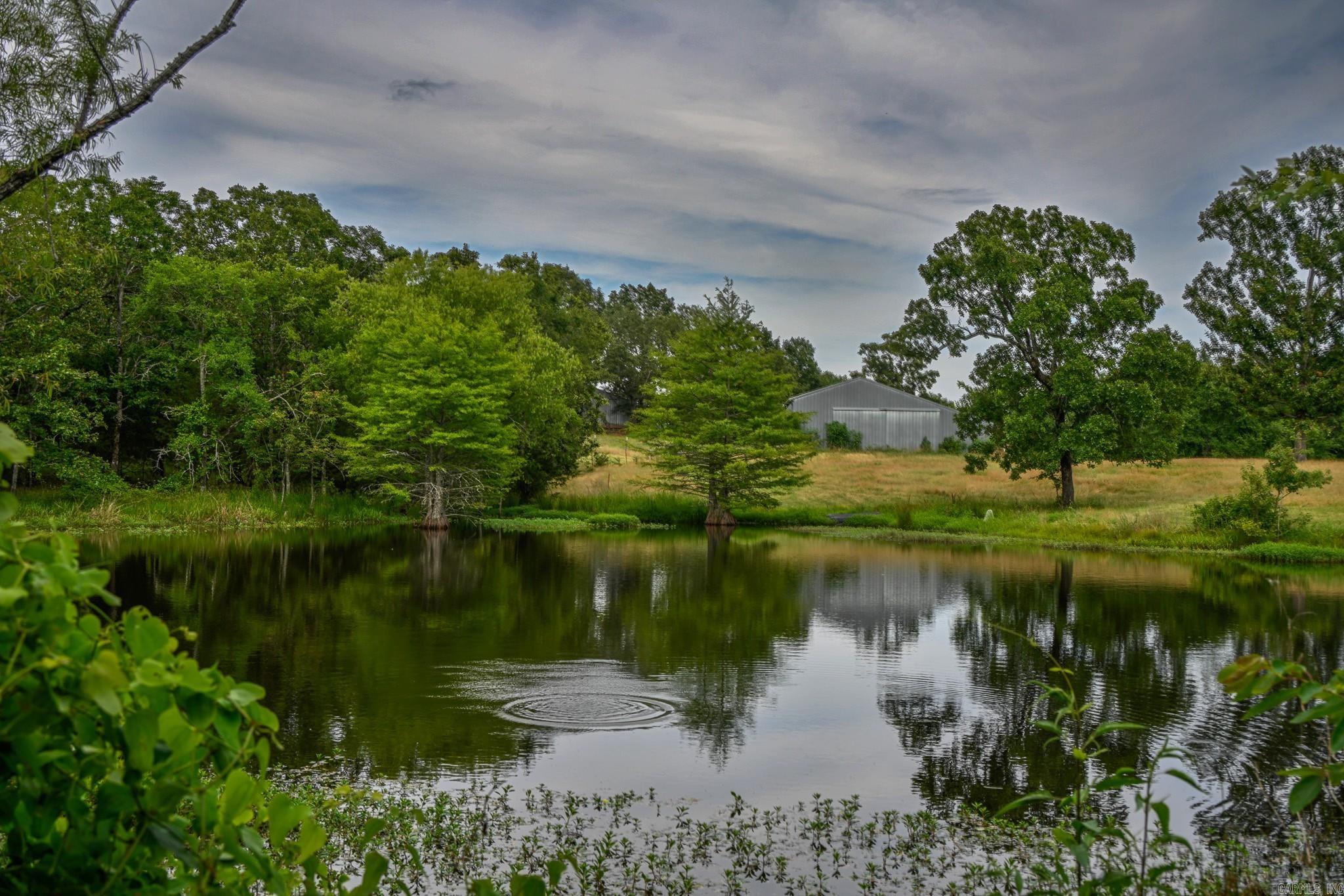 505 Stoney Point Property Photo 3