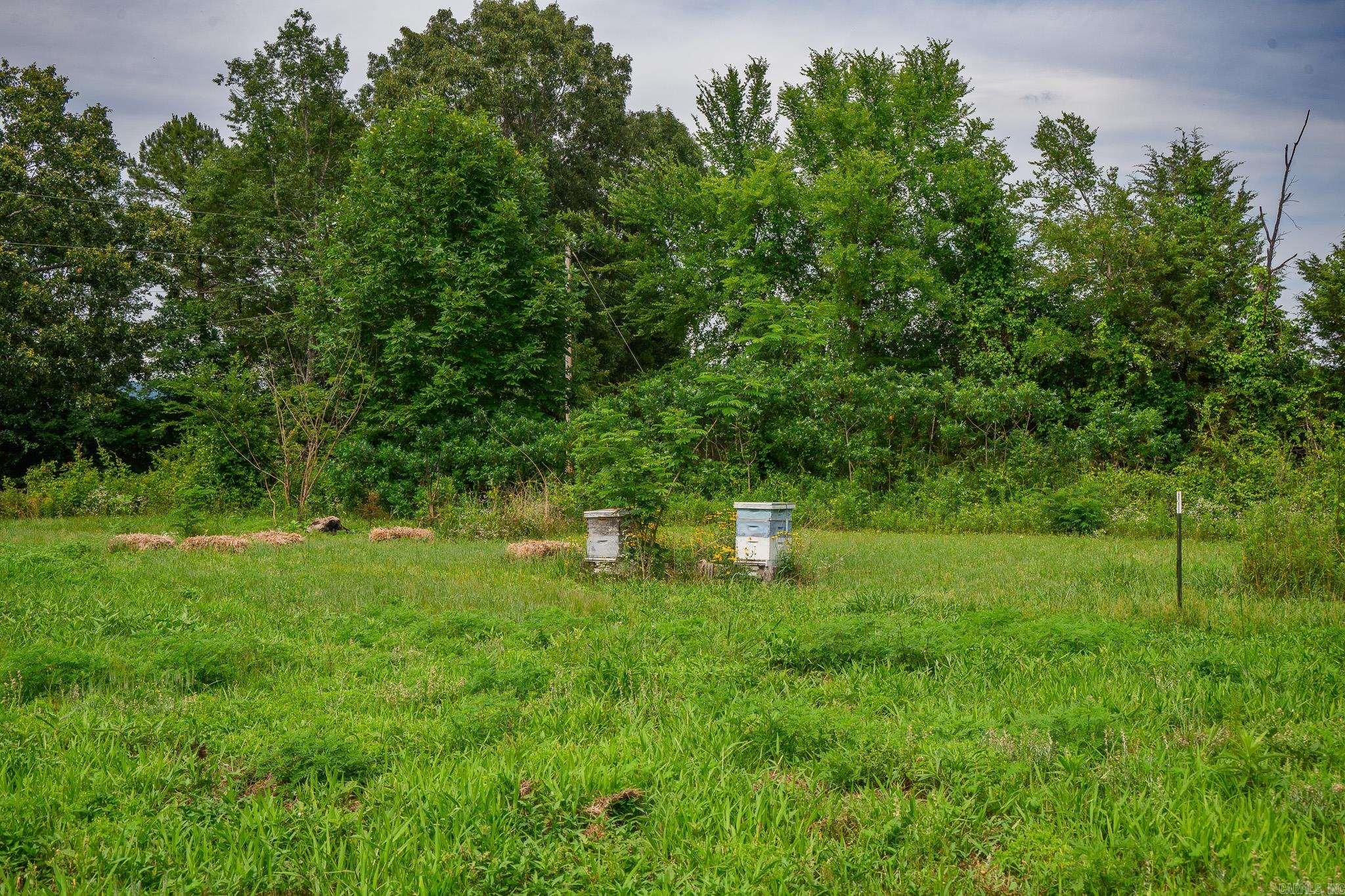 505 Stoney Point Property Photo 40
