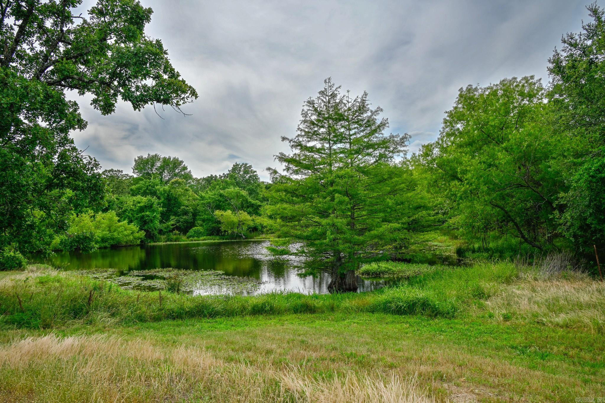 505 Stoney Point Property Photo 41