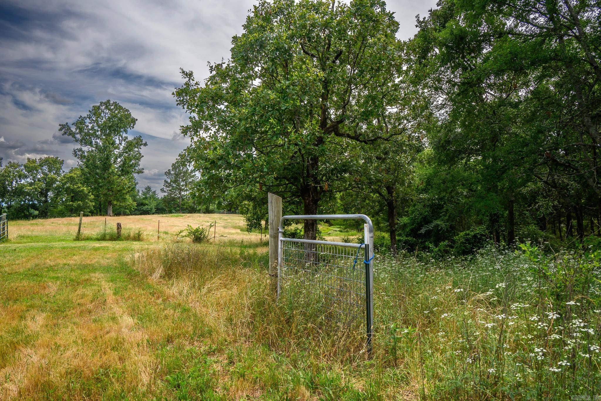 505 Stoney Point Property Photo 42