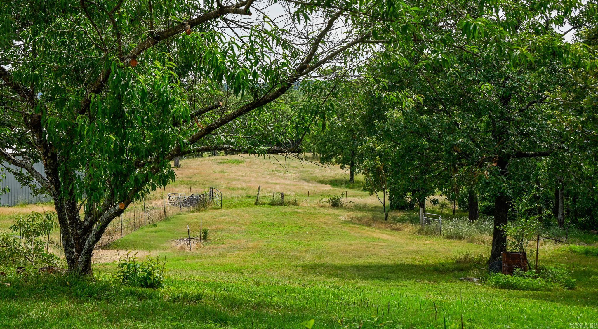 505 Stoney Point Property Photo 43