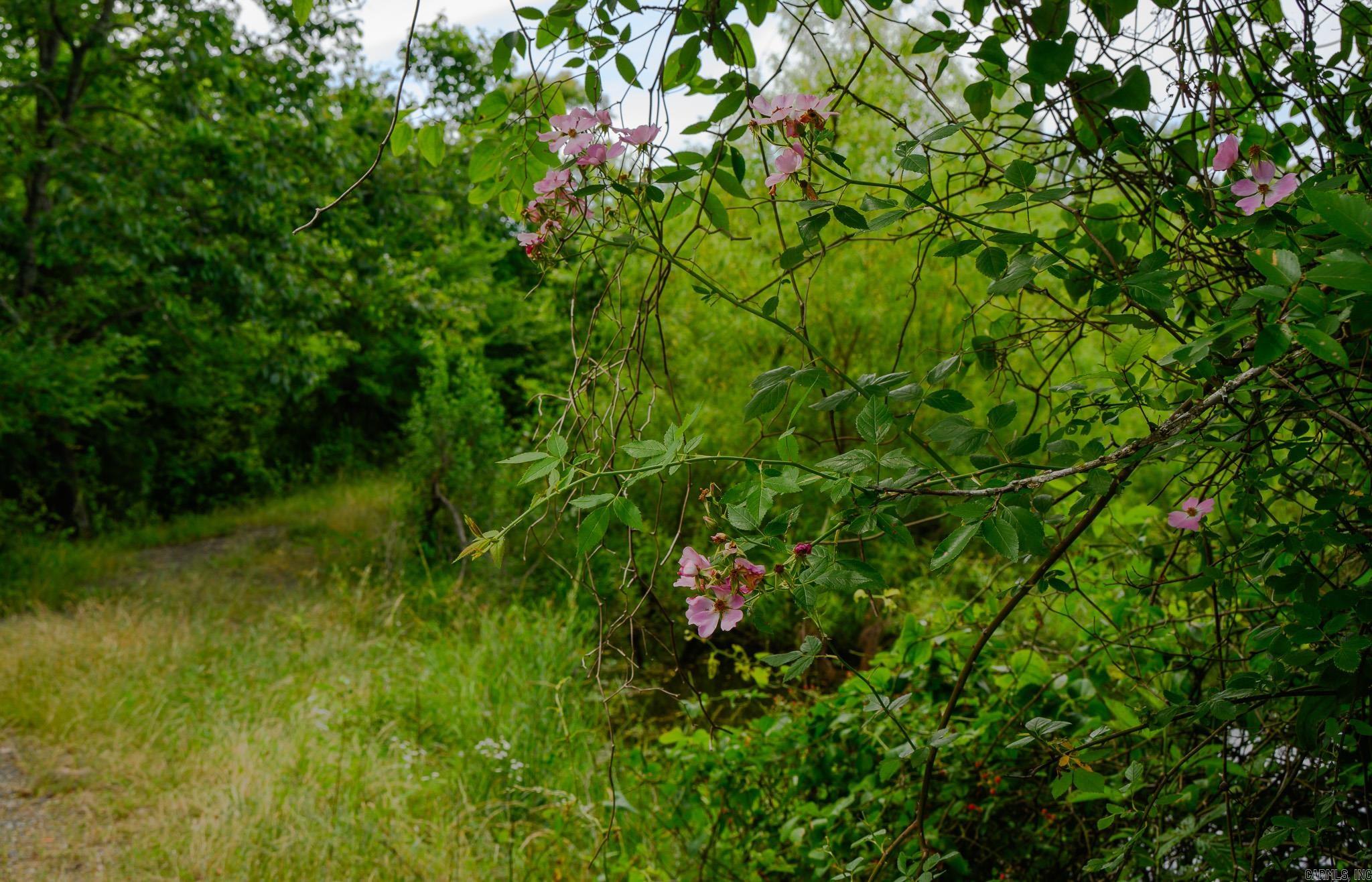 505 Stoney Point Property Photo 44
