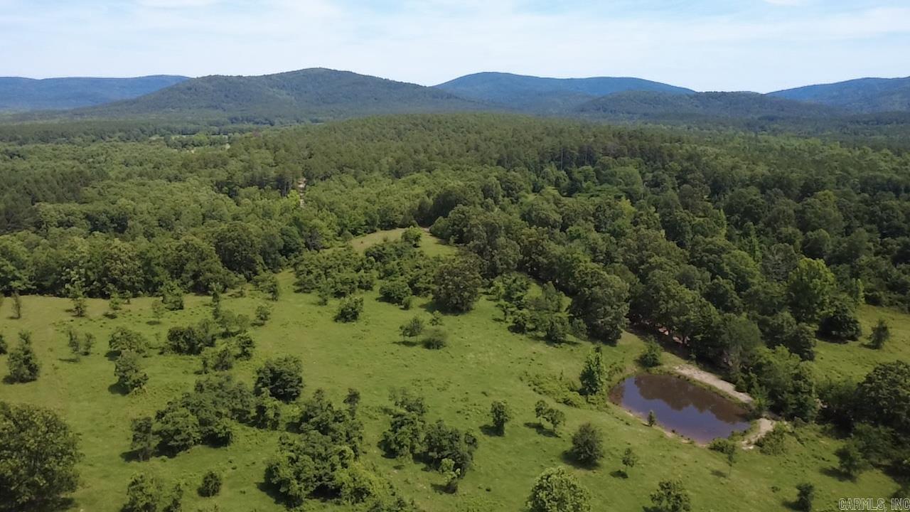 505 Stoney Point Property Photo 49