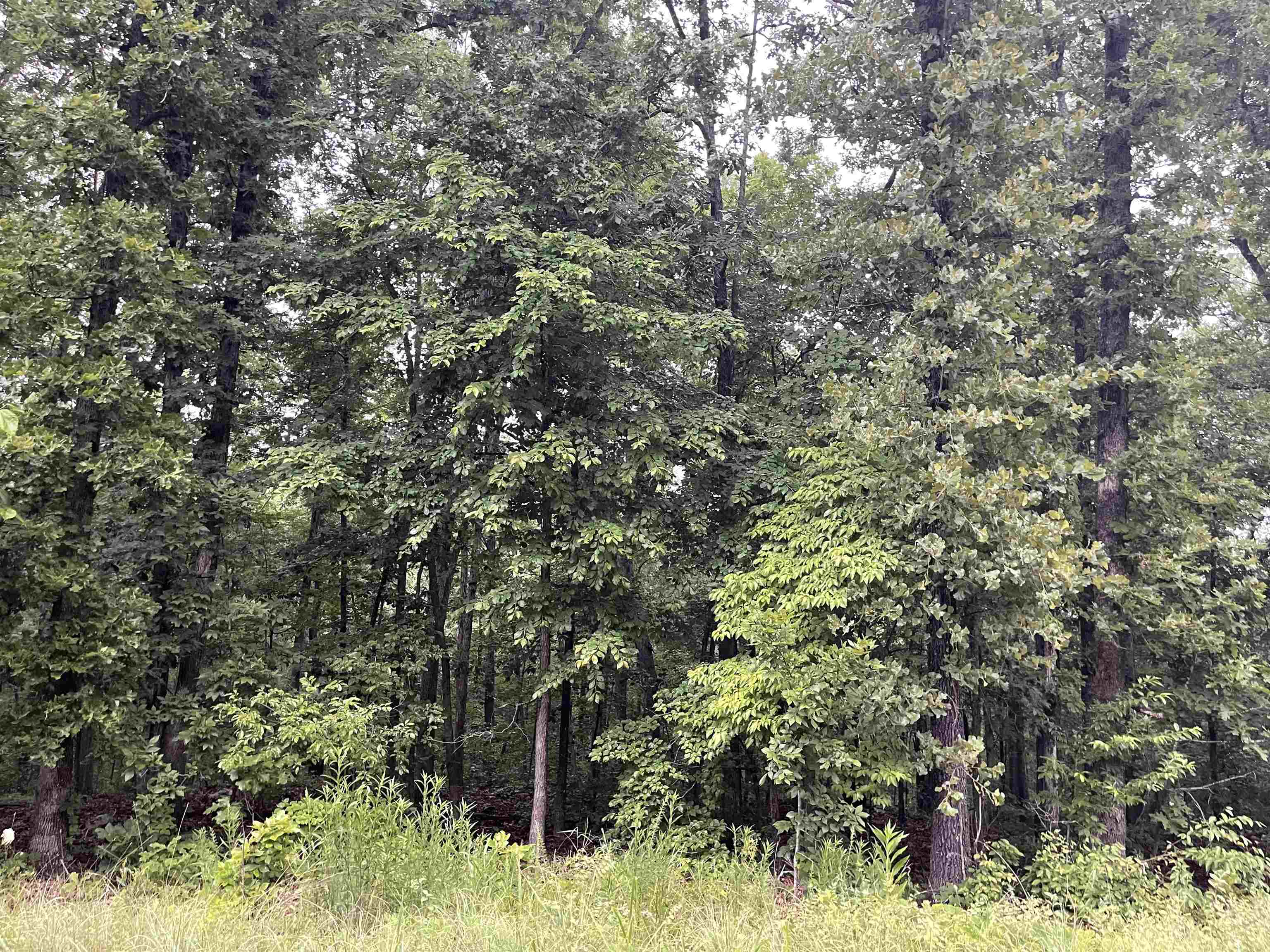 Tbd Blackfoot Drive Property Photo 2