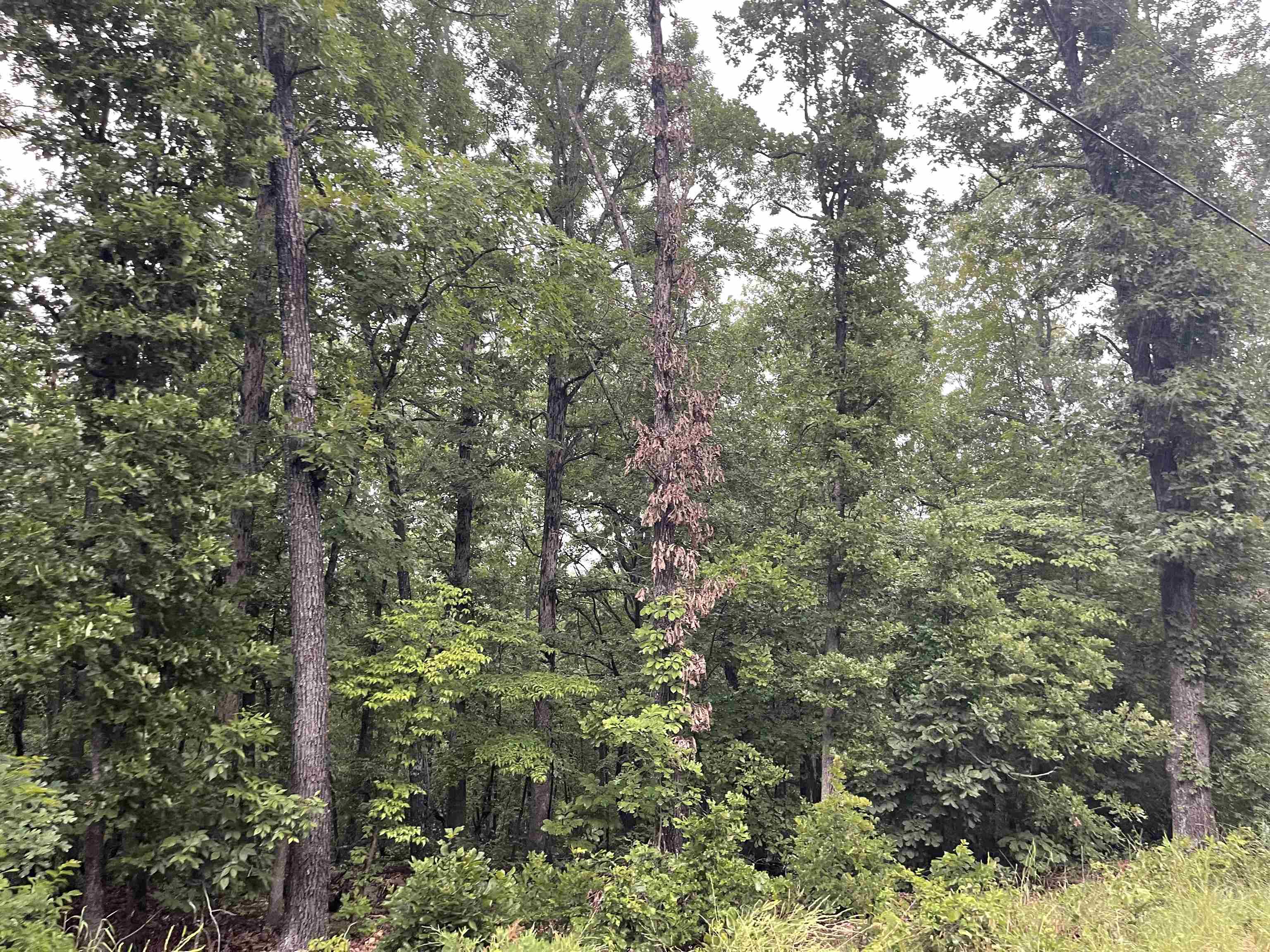 Tbd Blackfoot Drive Property Photo 3