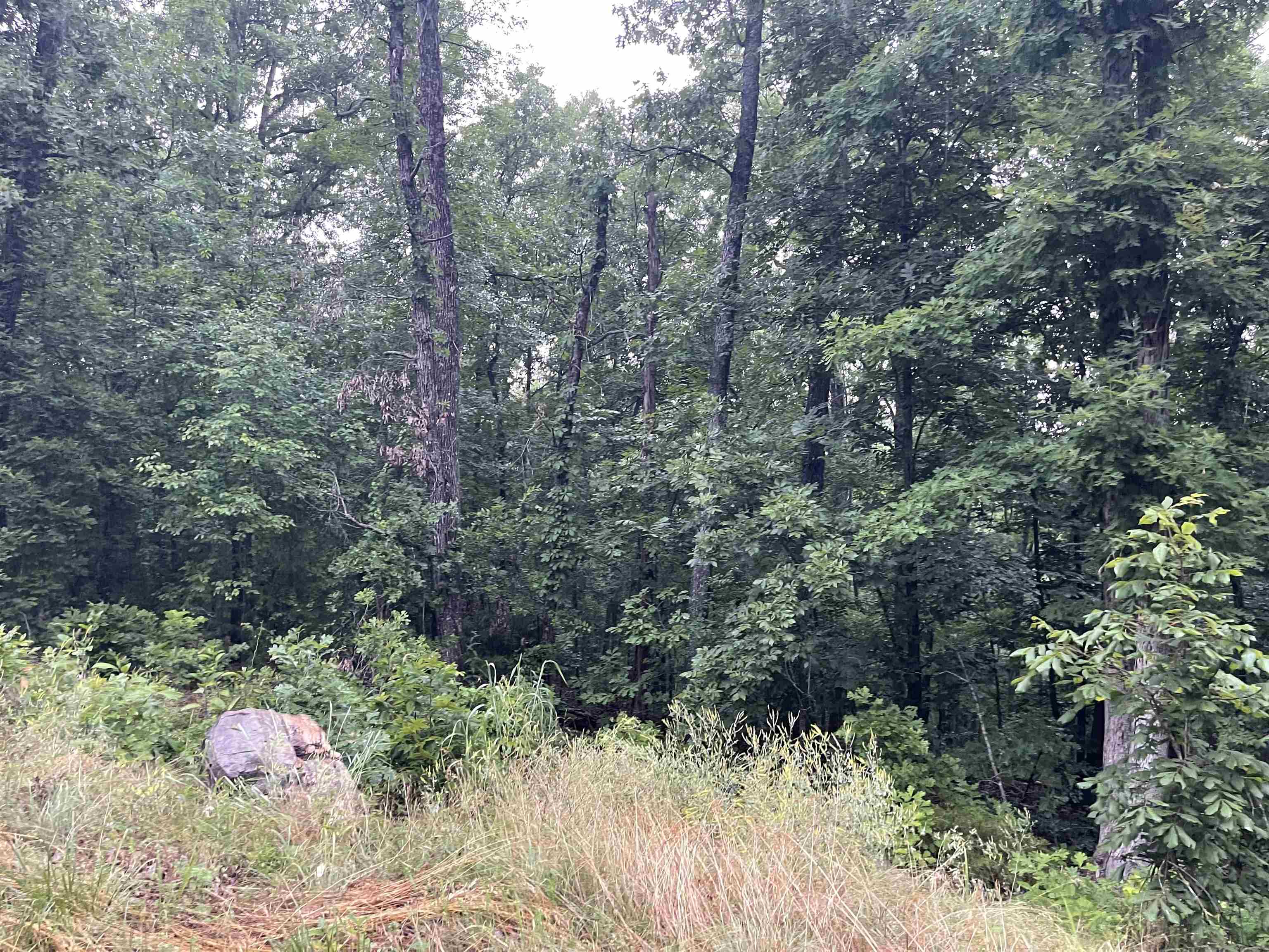 Tbd Blackfoot Drive Property Photo 4