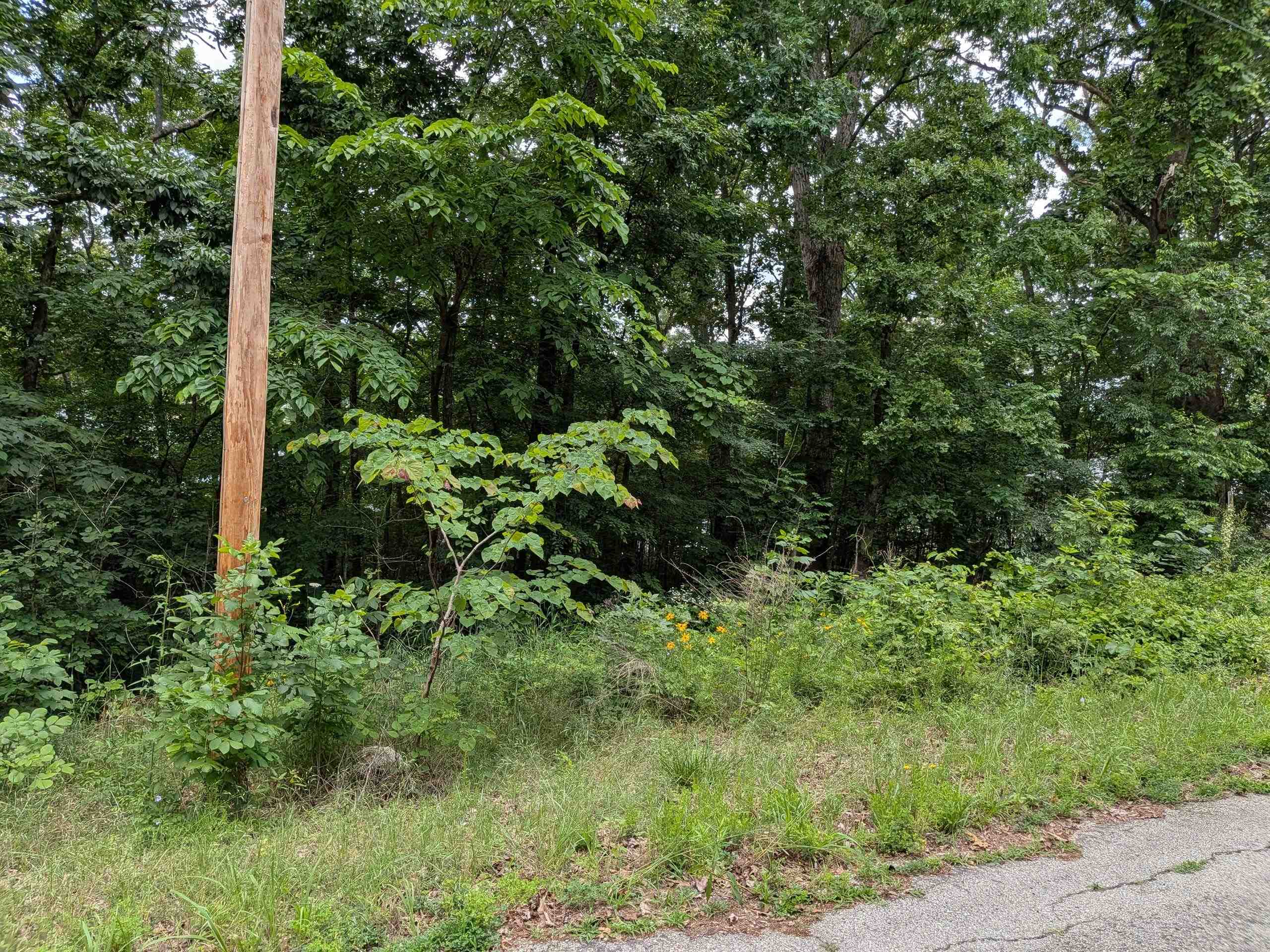 Lakeside Drive Property Photo 2