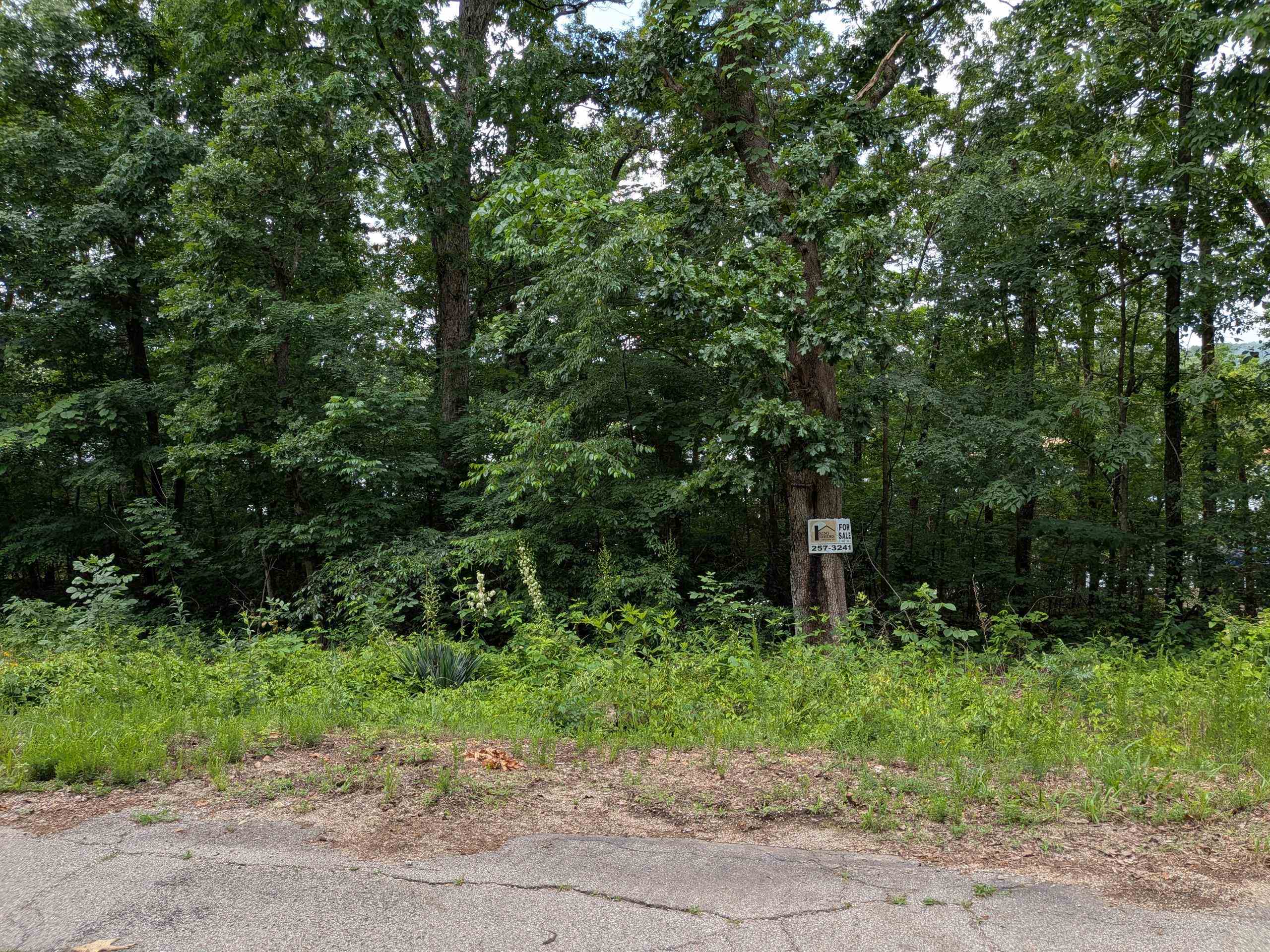 Lakeside Drive Property Photo 3