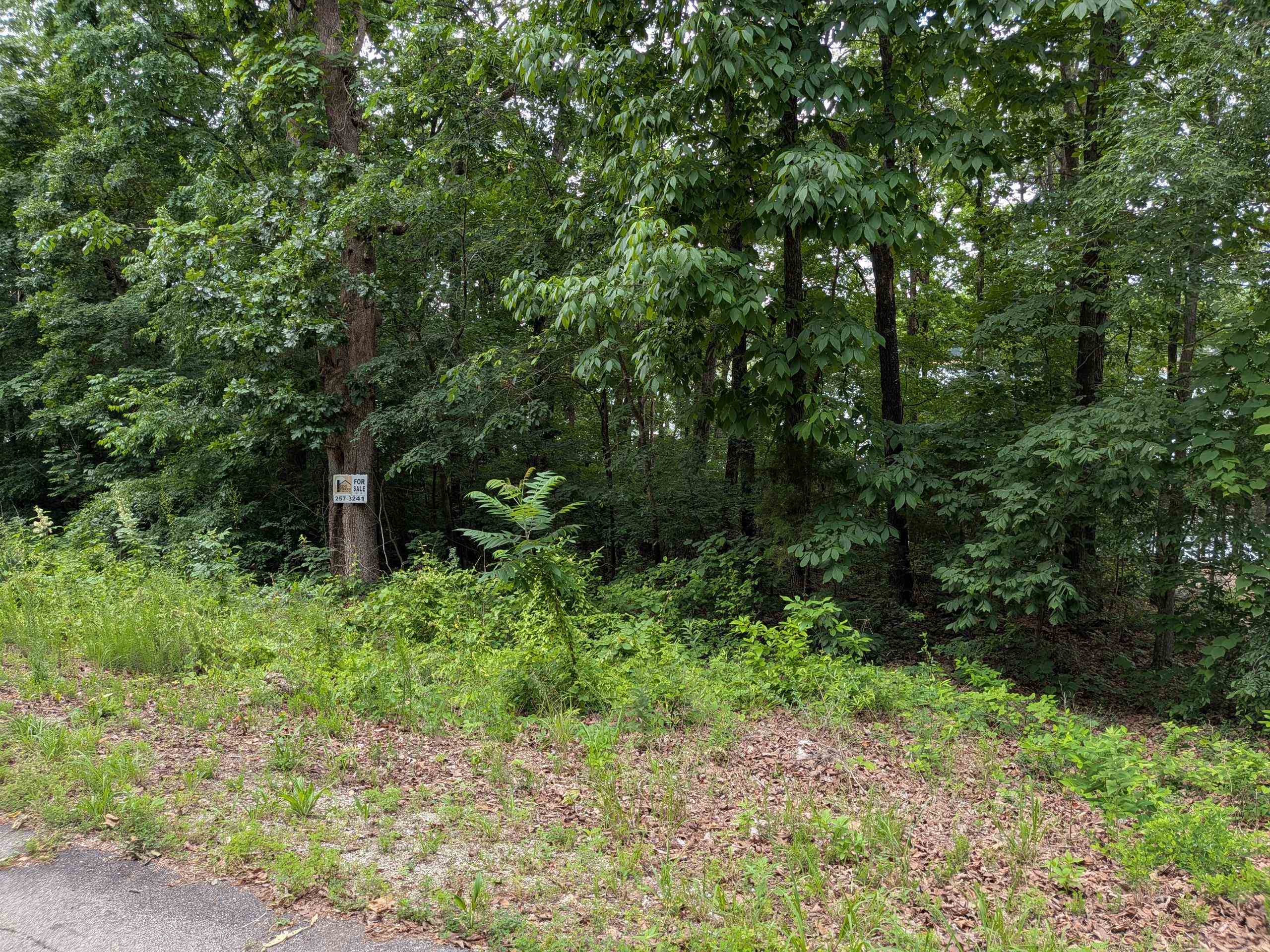 Lakeside Drive Property Photo 4