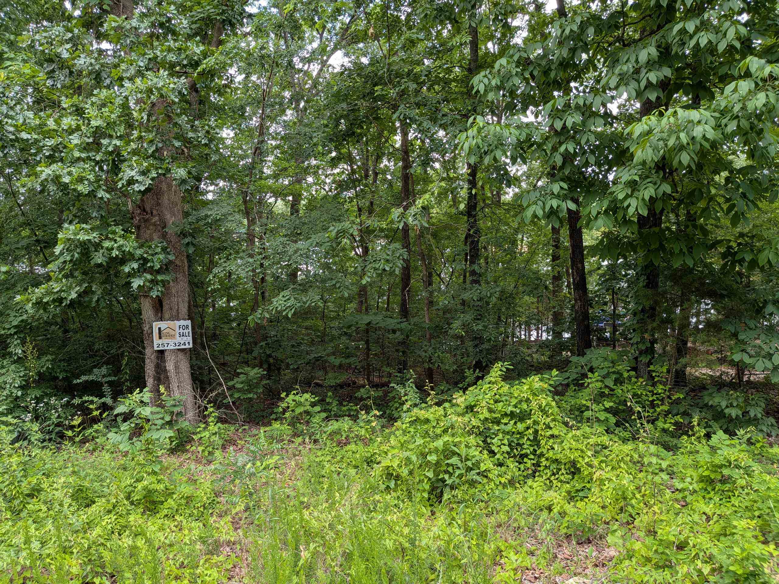 Lakeside Drive Property Photo 6