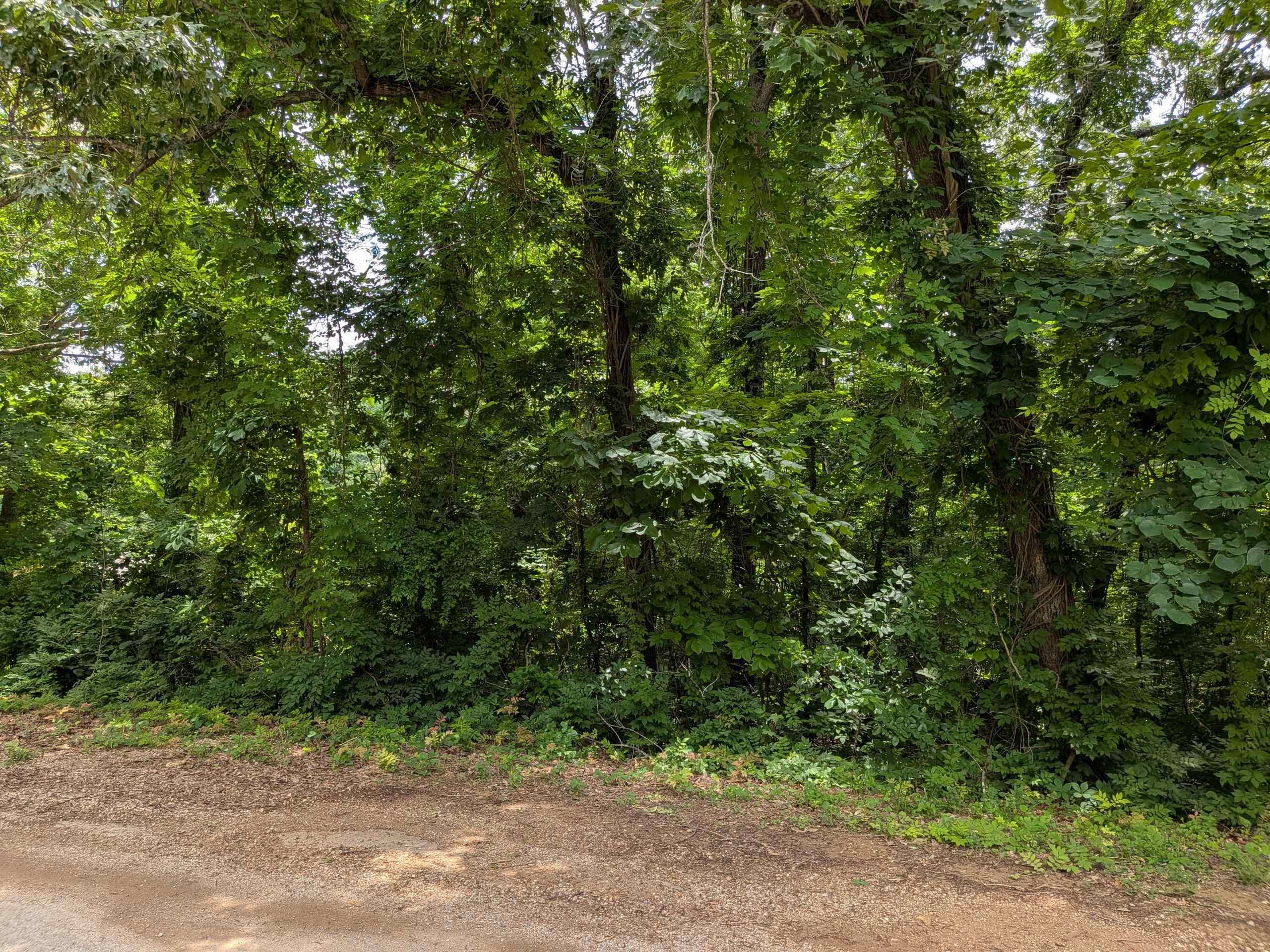 Lakeside Drive Property Photo 4