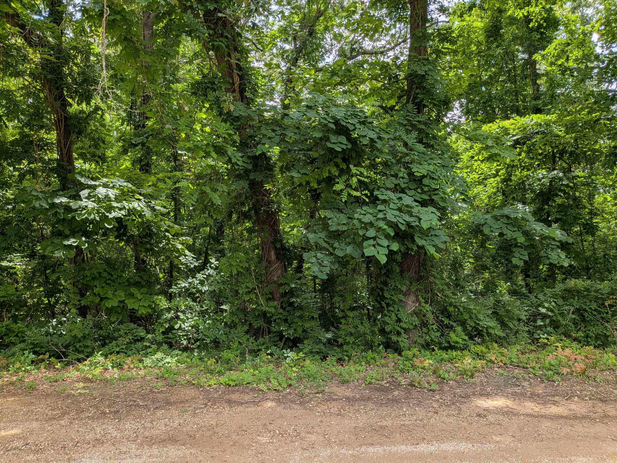 Lakeside Drive Property Photo 5