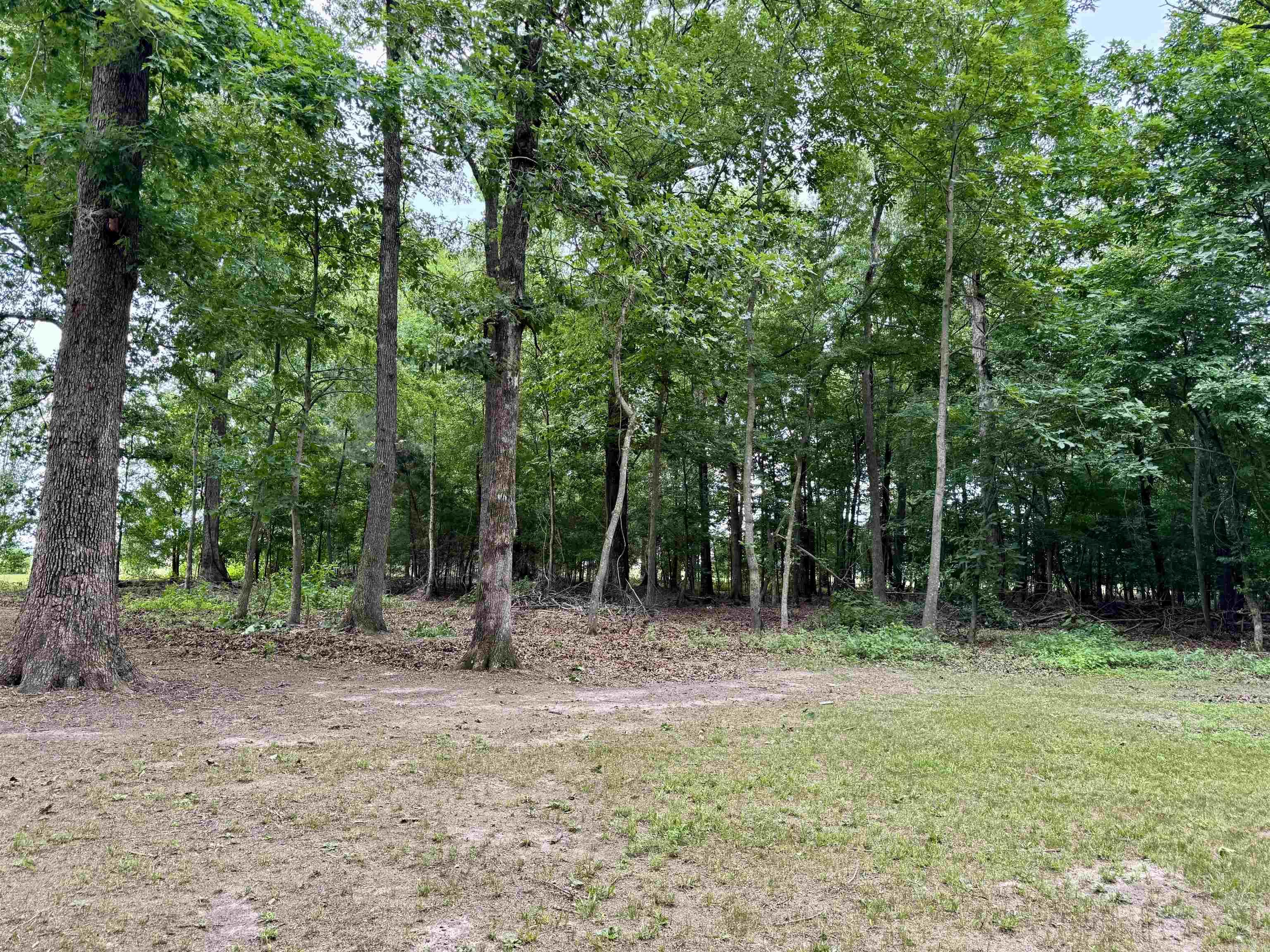 411 Senko Rd Property Photo 8