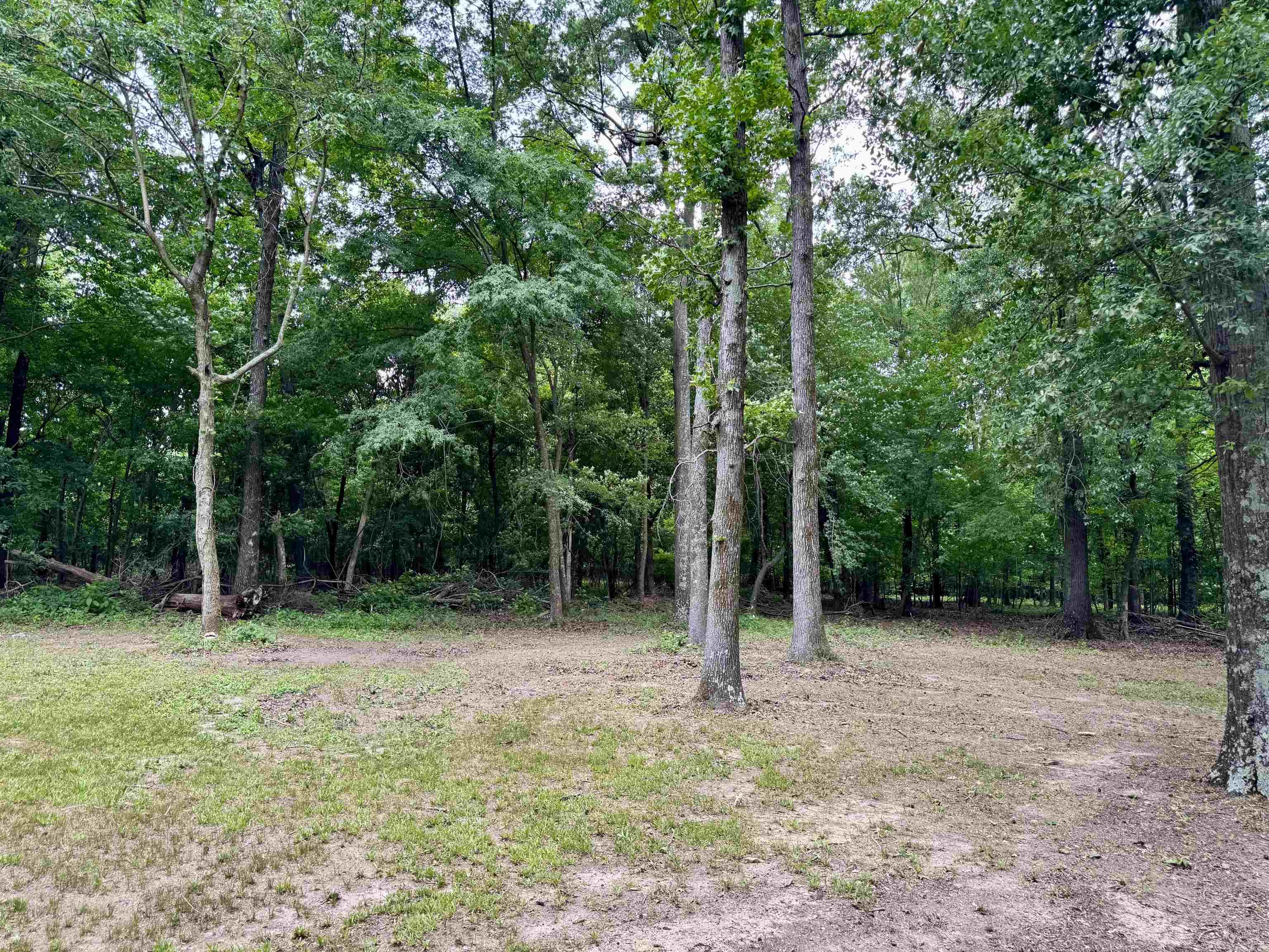 411 Senko Rd Property Photo 9