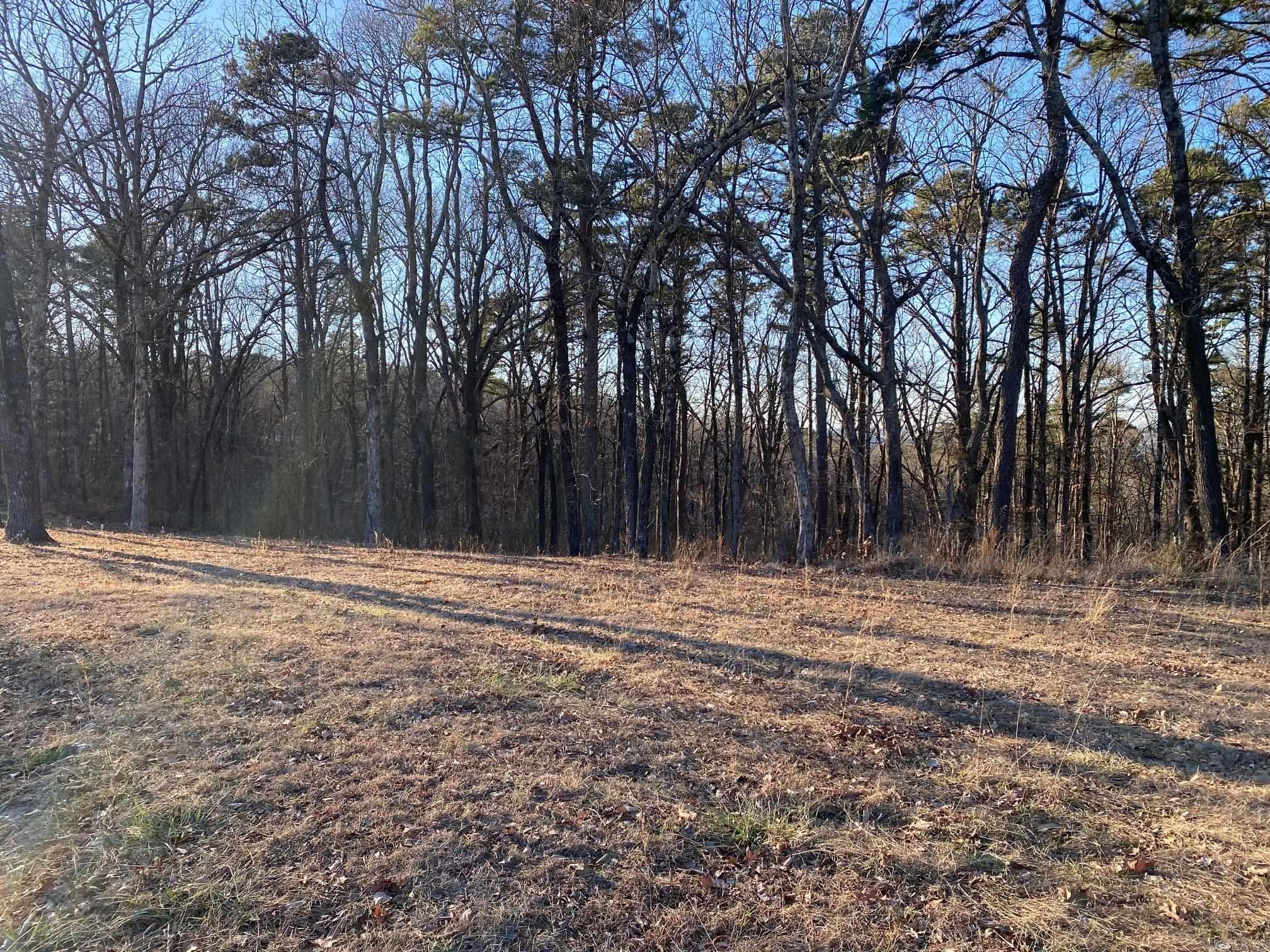 384 Dug Hill Road Property Photo 3