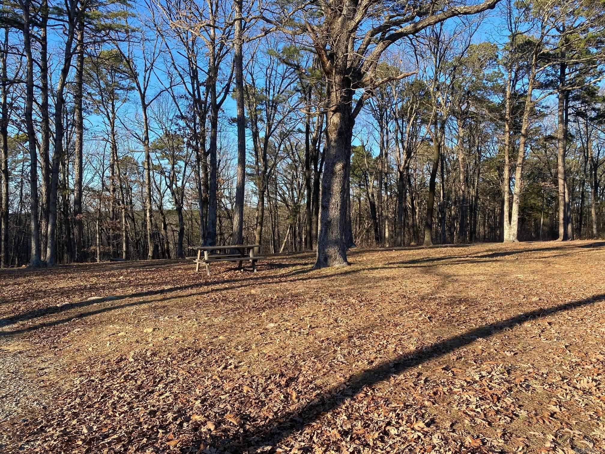 384 Dug Hill Road Property Photo 7