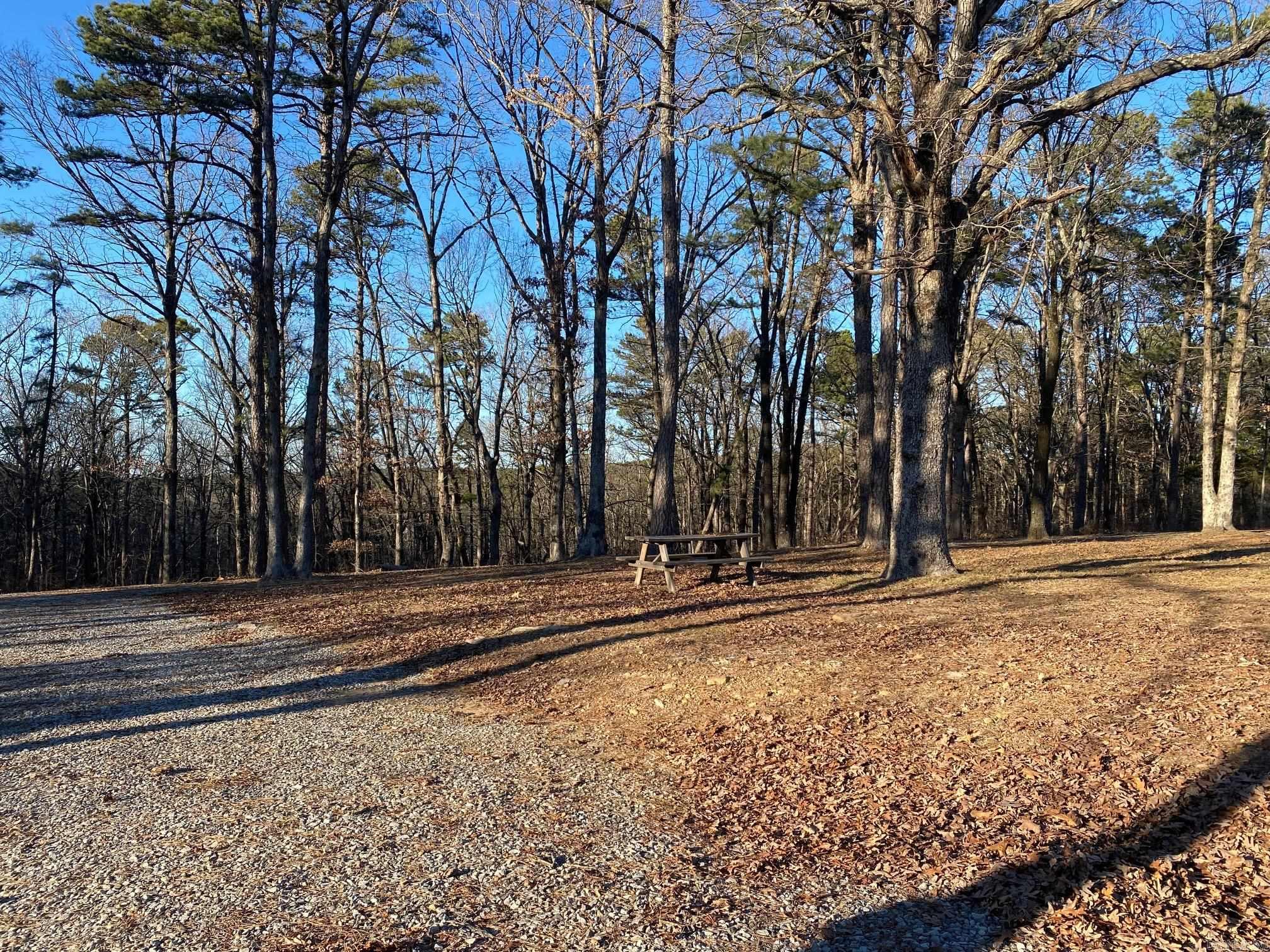 384 Dug Hill Road Property Photo 11