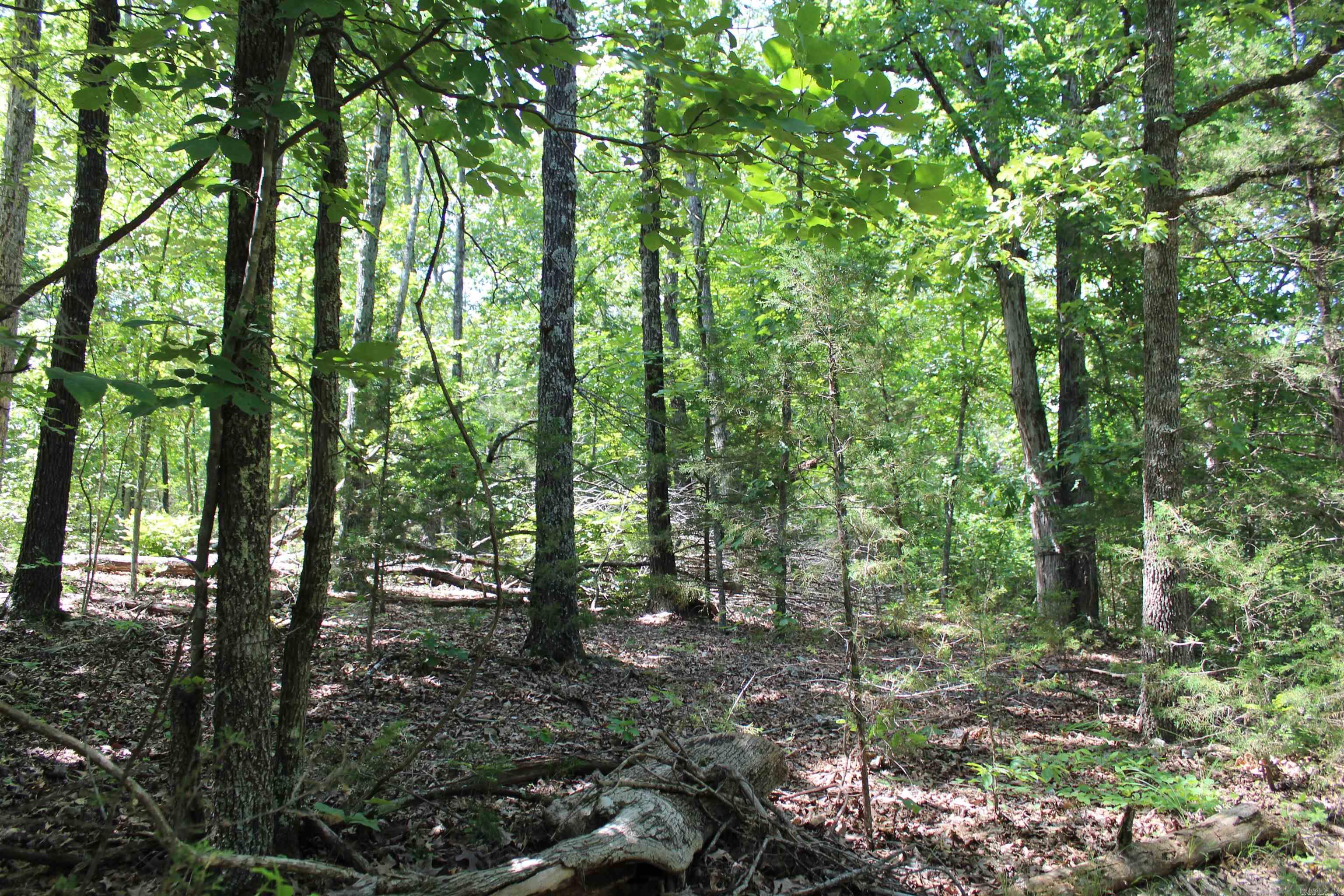 Lots 17&18 Mc 8126 Property Photo 17