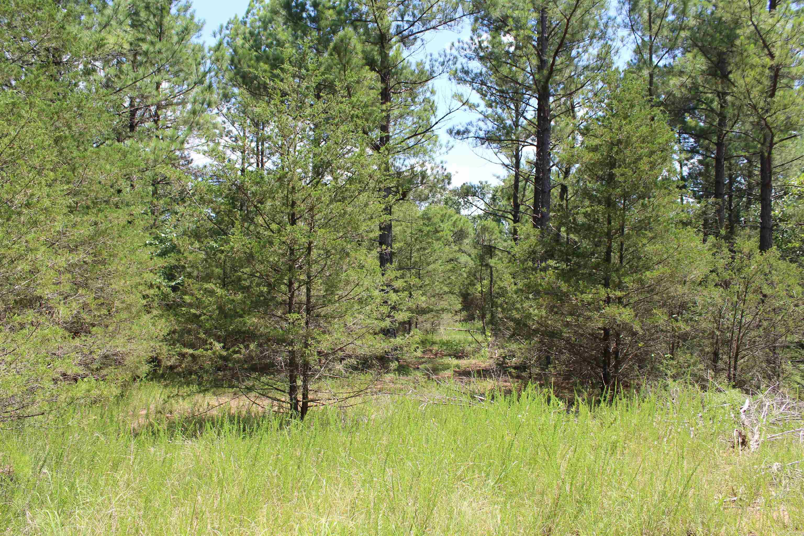 Lots 17&18 Mc 8126 Property Photo 20