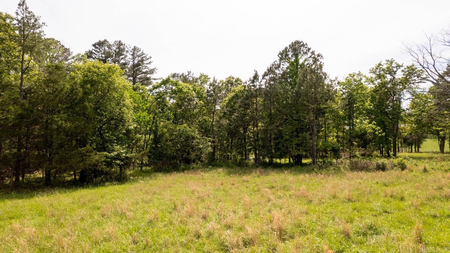 1250 County Road 405 Property Photo 48