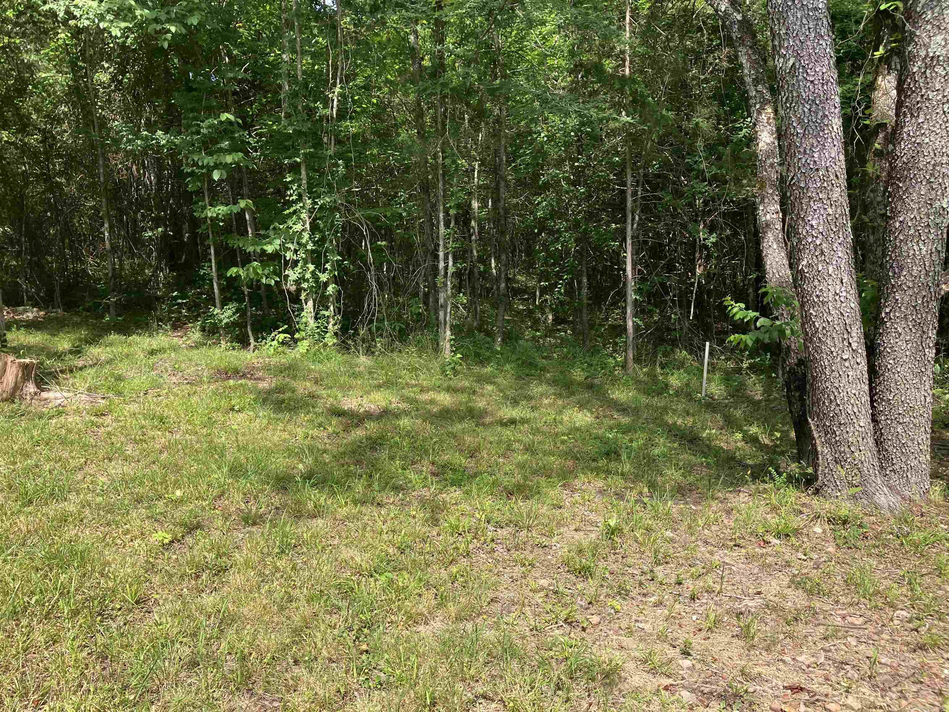 190 Waggoner St. Property Photo 18